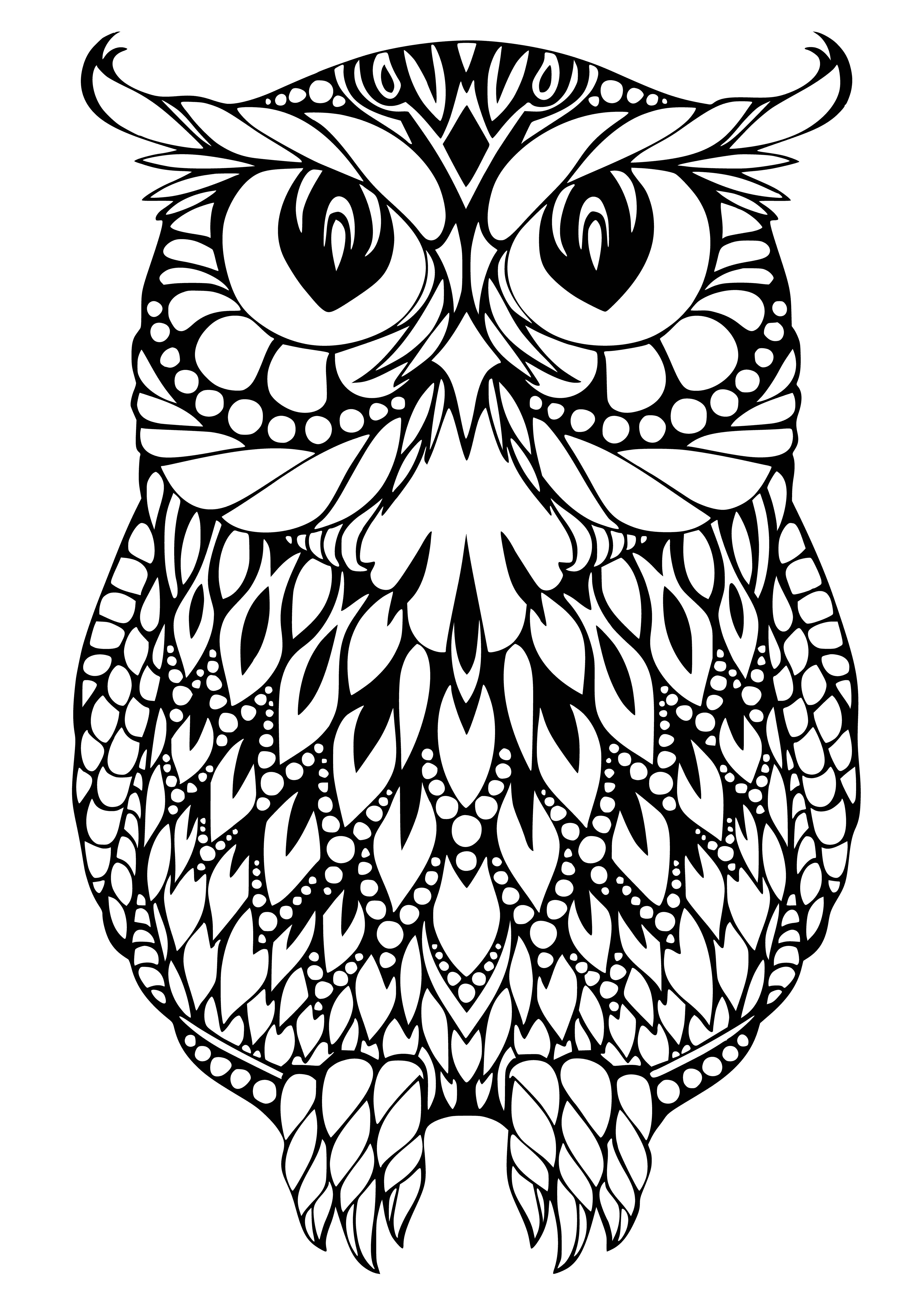 coloring page: Two differently-sized owls with big round eyes perched on branches with leaves in Antistress Owls coloring pages.