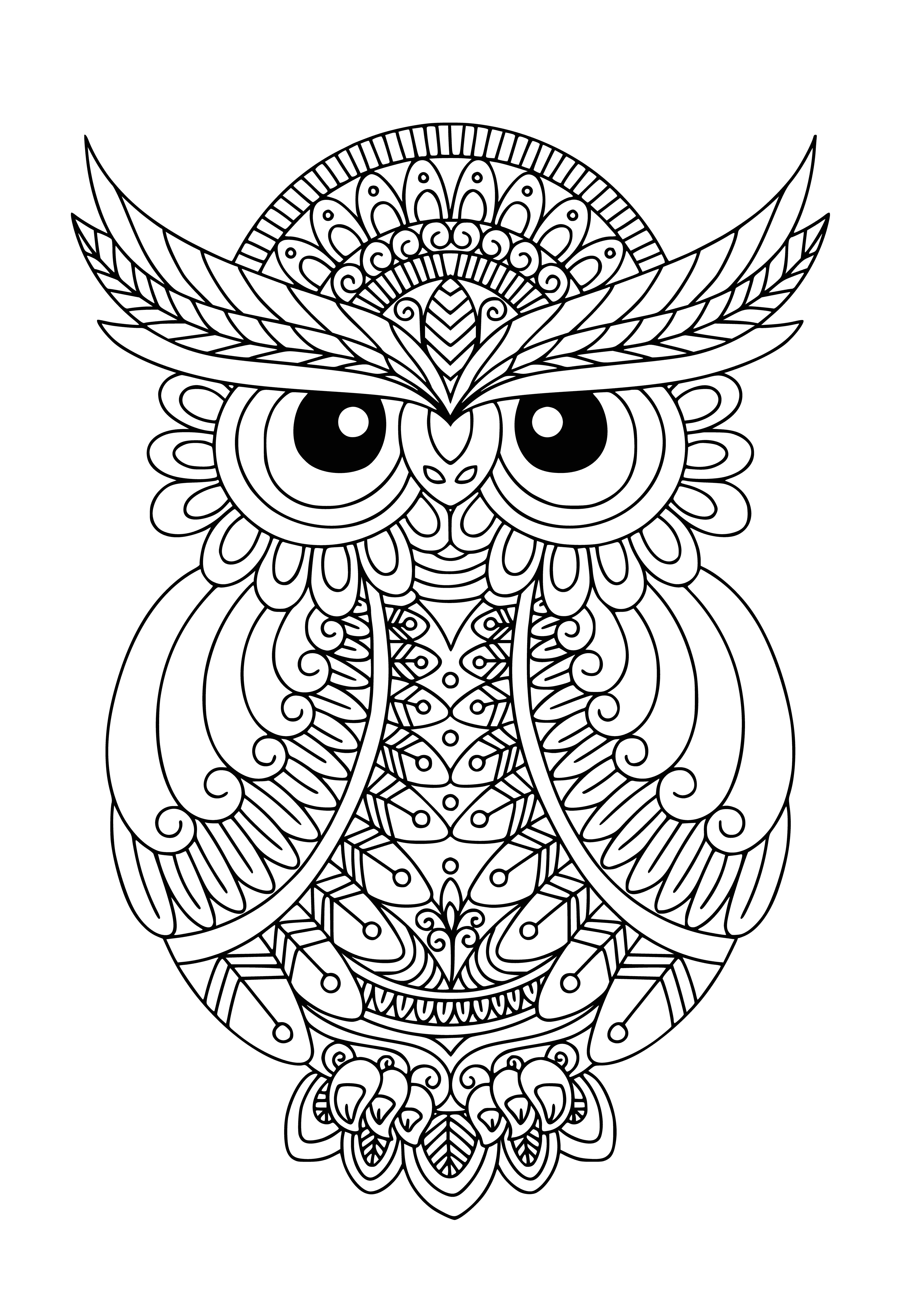 coloring page: Two owls perched on a branch surrounded by leaves & flowers create a peaceful scene.