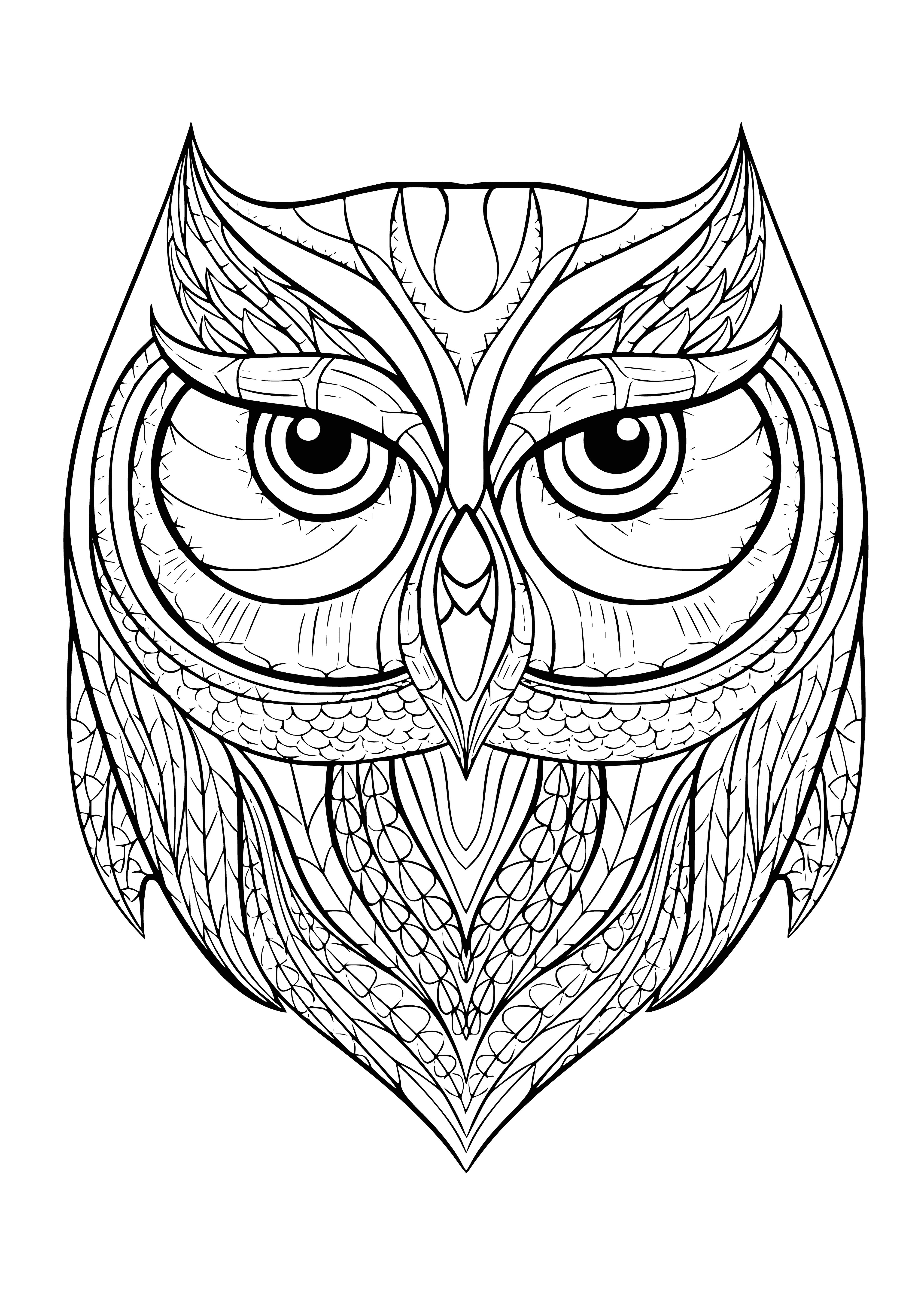 Wise Owl coloring page
