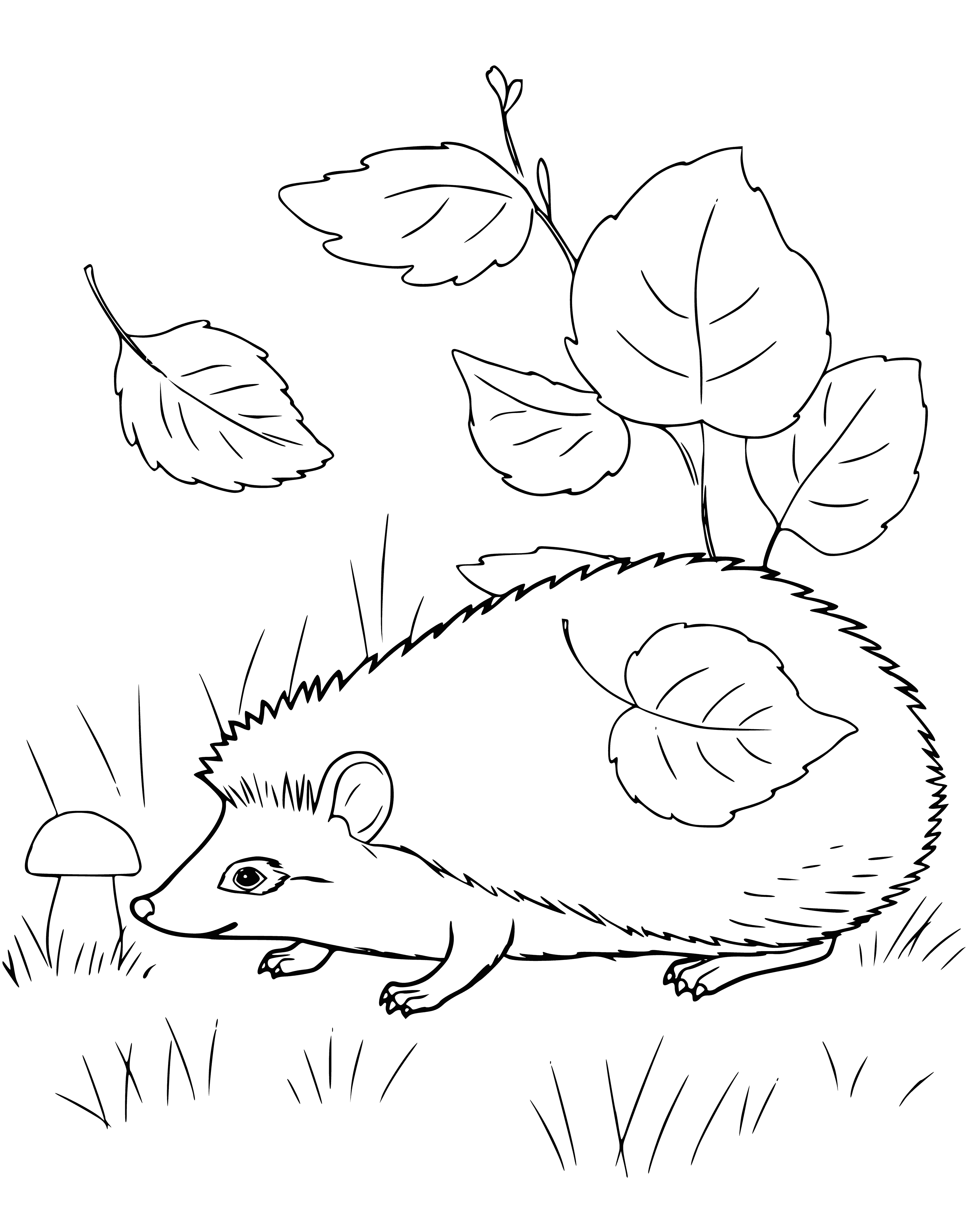 coloring page: A hedgehog lounges in the grass, pink toes and nose peeking through relaxed quills. Eyes closed in contentment.