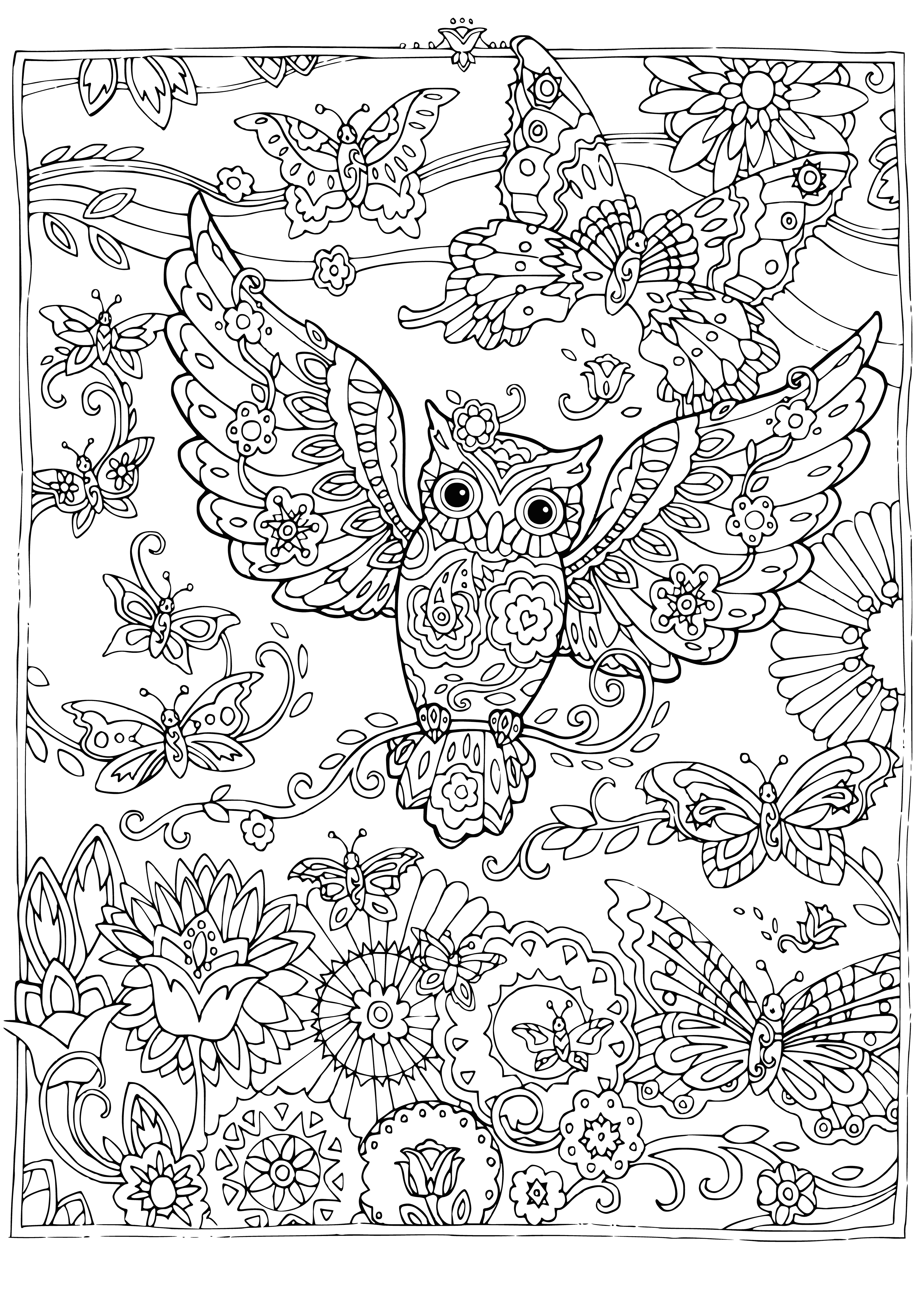 coloring page: Butterfly and owl rest calmly on branch together - one orange/black, one brown/white, both with big eyes.