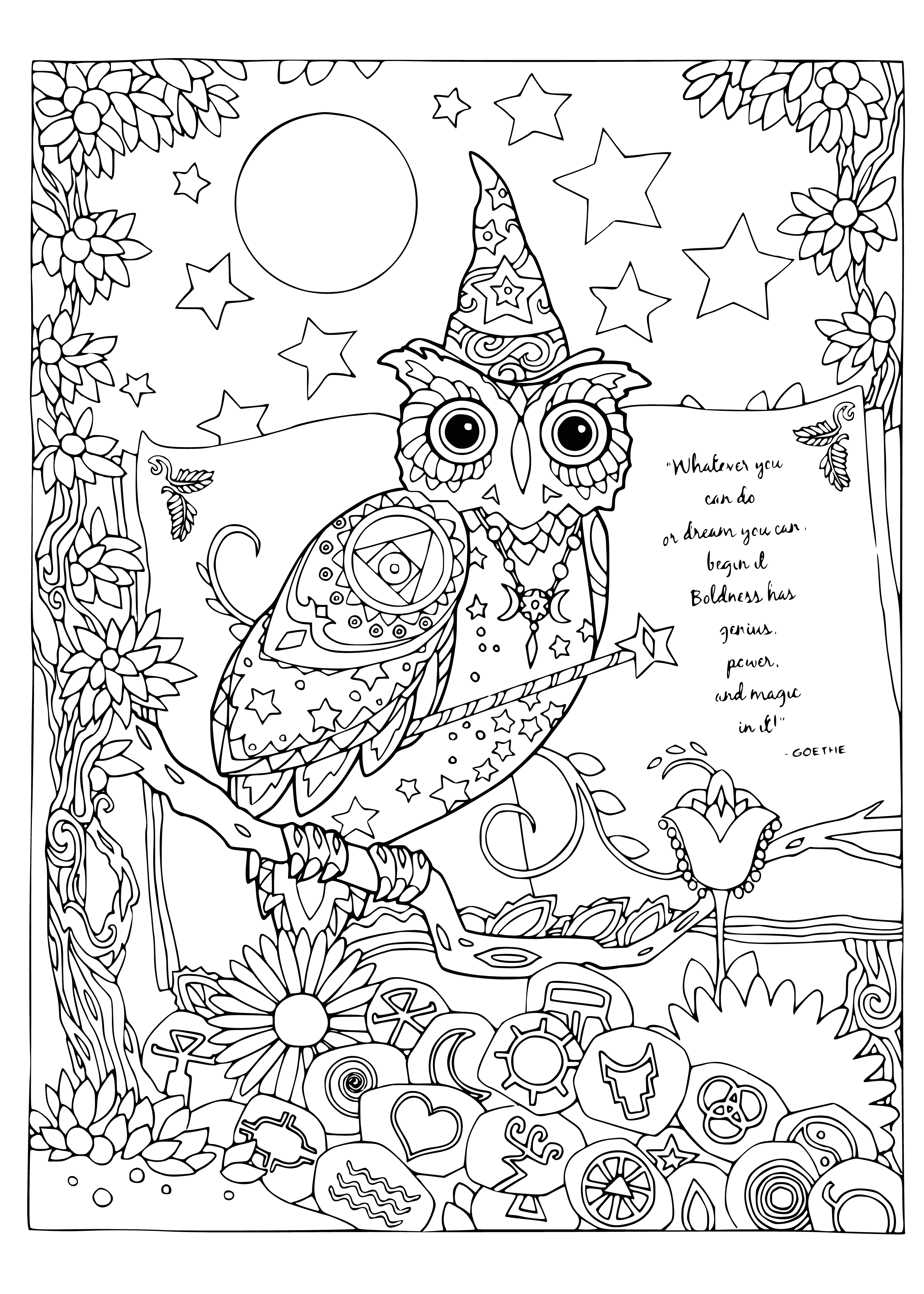 Wizard Owl coloring page