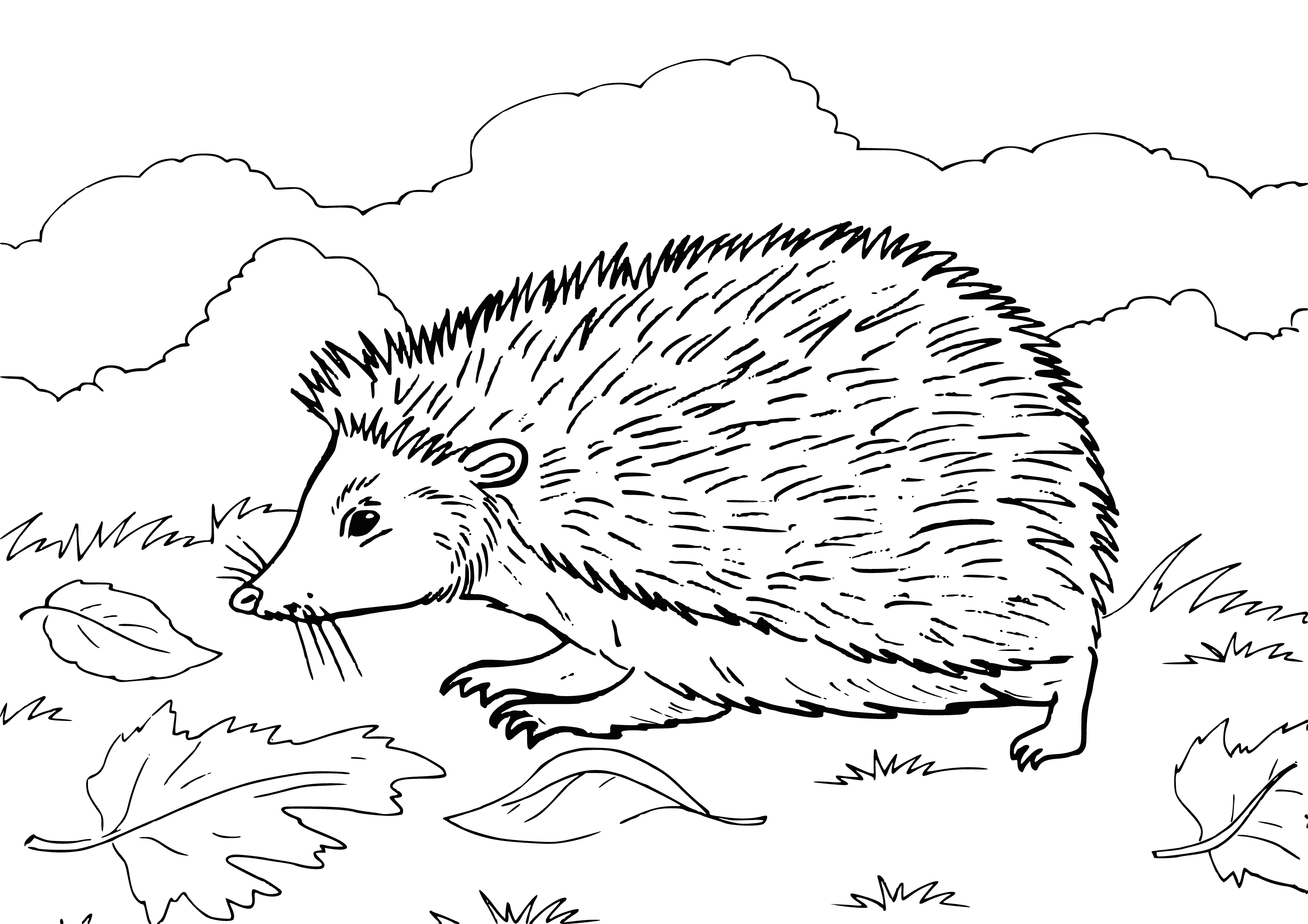 coloring page: Adorable hedgehog eating a caterpillar on a coloring page! Brown/white fur, short snout, black eyes, white belly, & back/legs covered in spines.
