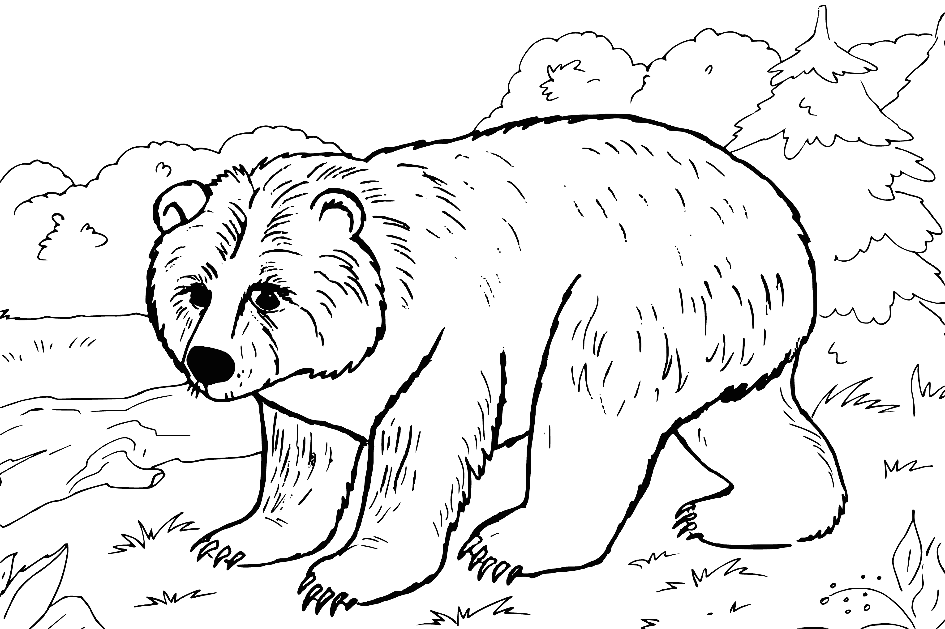 coloring page: Standing strong, a large animal withbrown fur and a long snout stares ahead in the coloring page. It looks strong and determined.