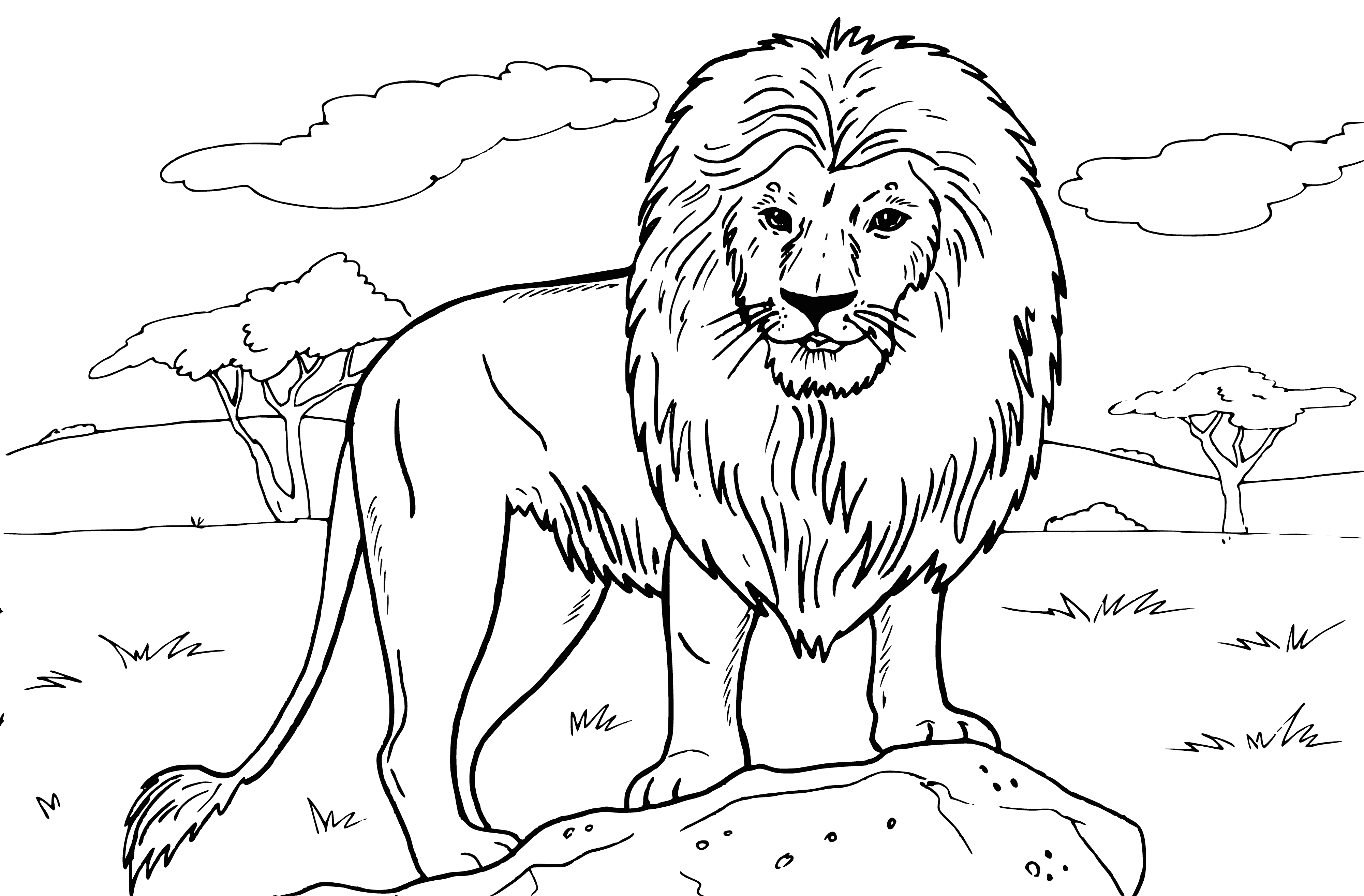 coloring page: Two lions, one standing & one lying down, open-mouthed amidst a forest backdrop. #coloringpage
