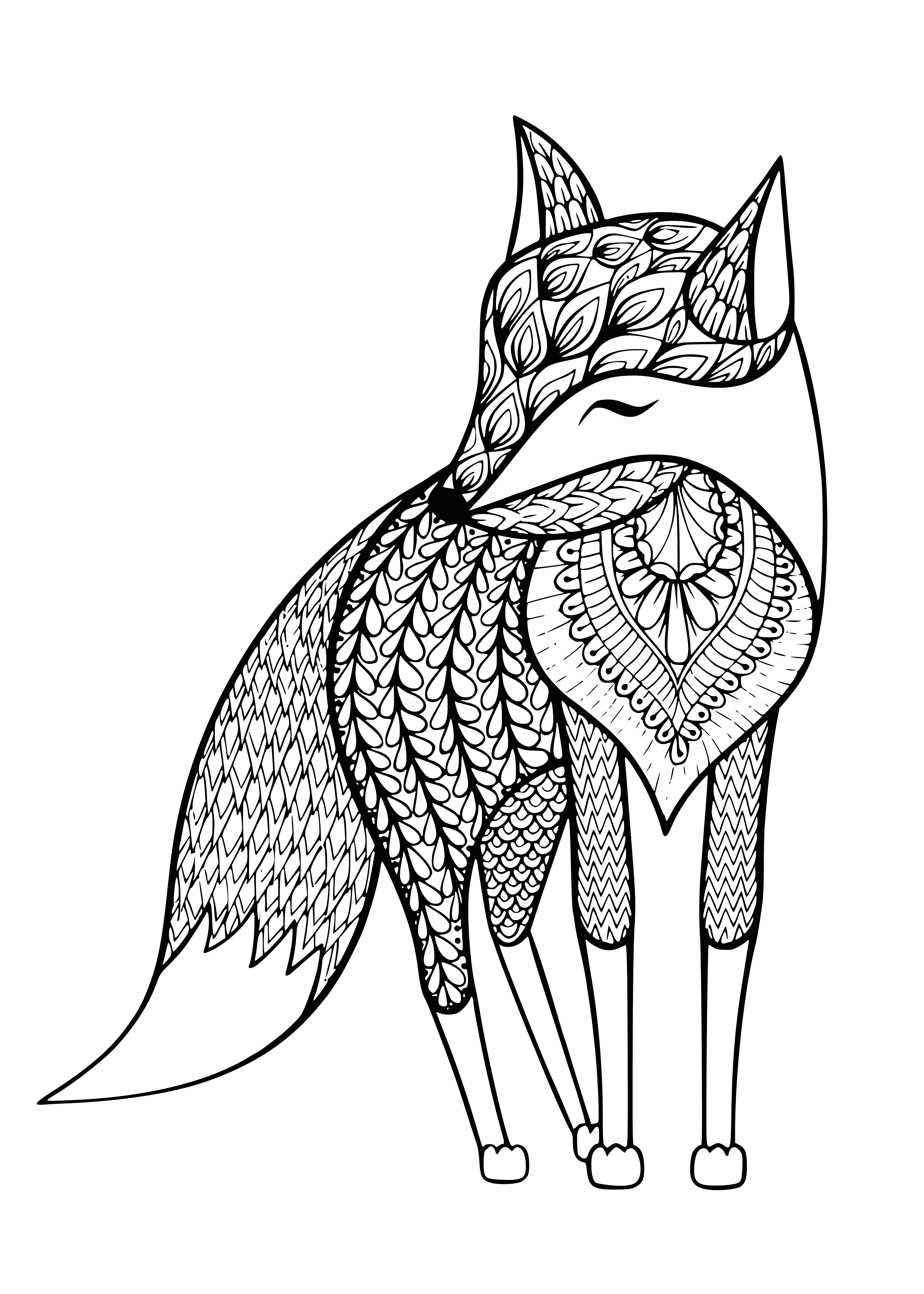 coloring page: Two foxes stand, looking at one another - orange and white with bushy tails and pointy ears.