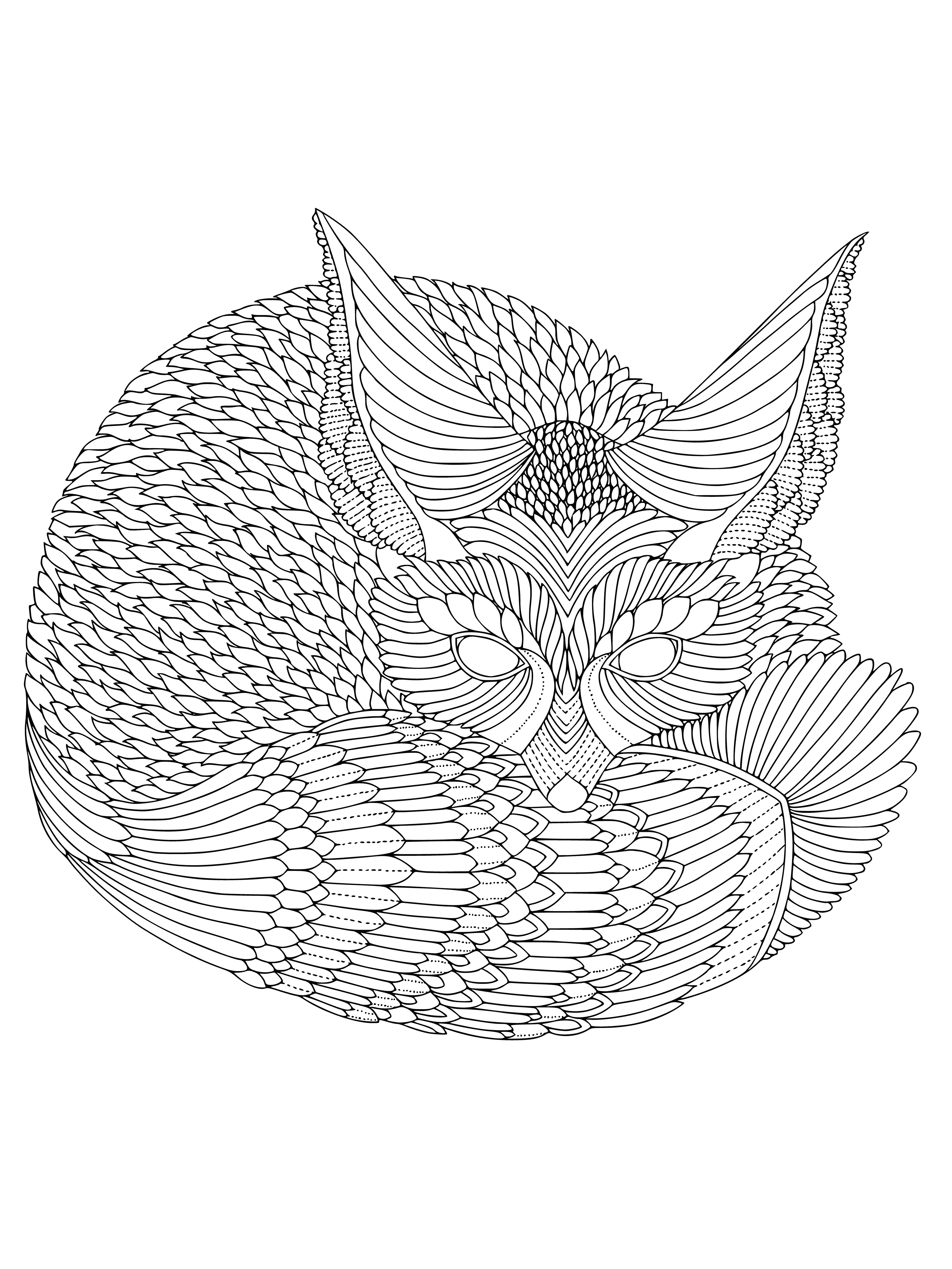Fox coloring page