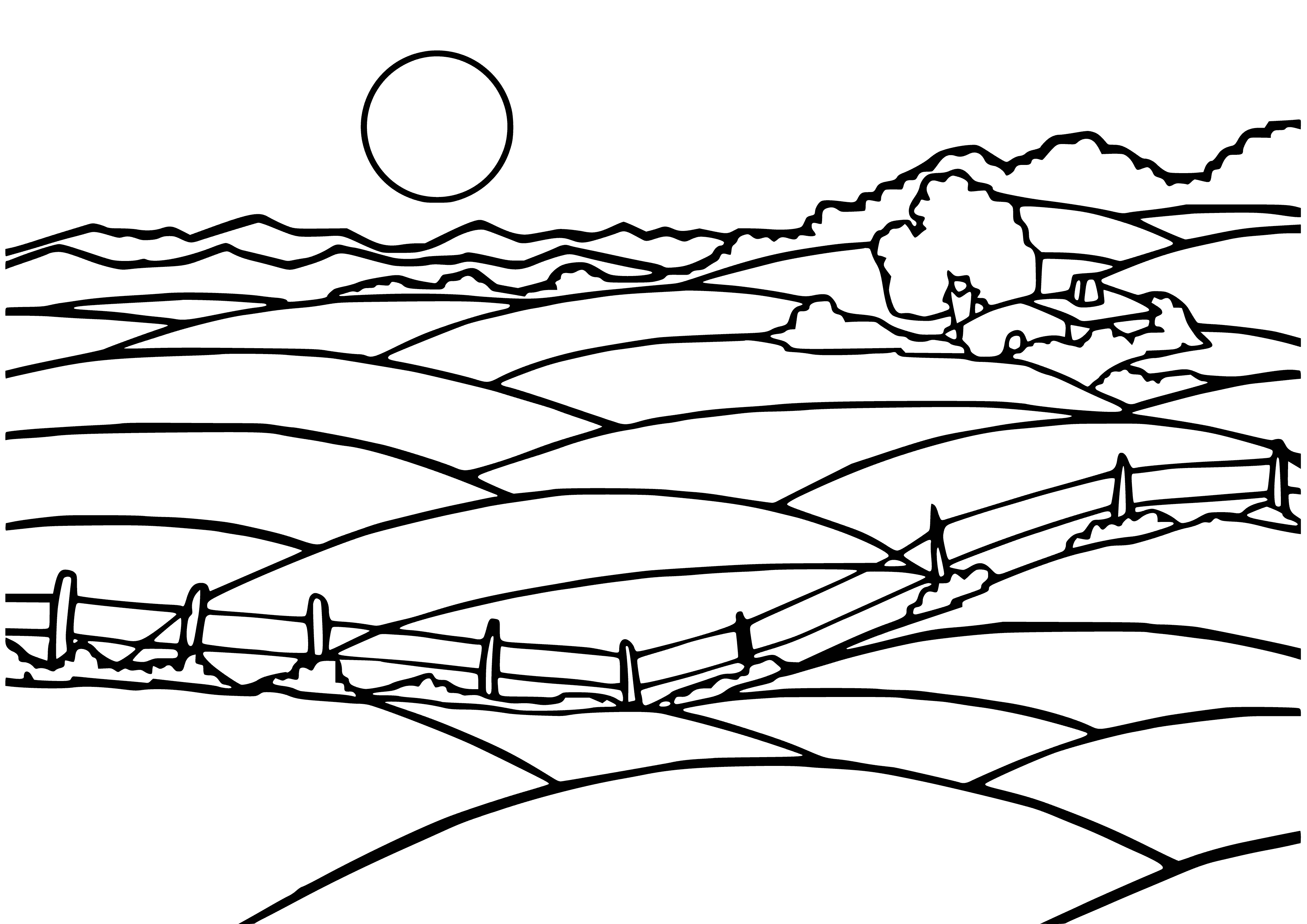 Fields coloring page