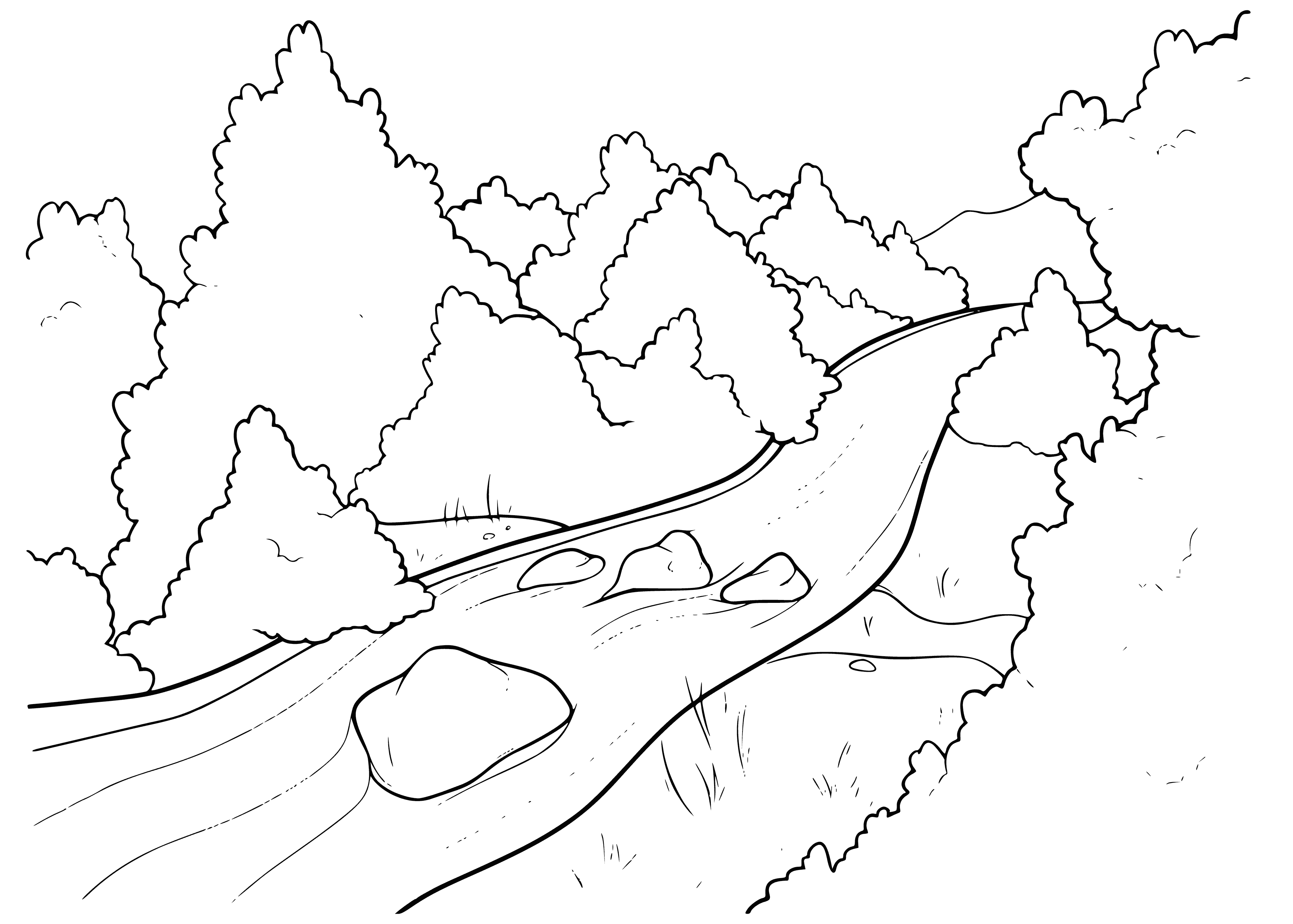 Rapids on the river coloring page
