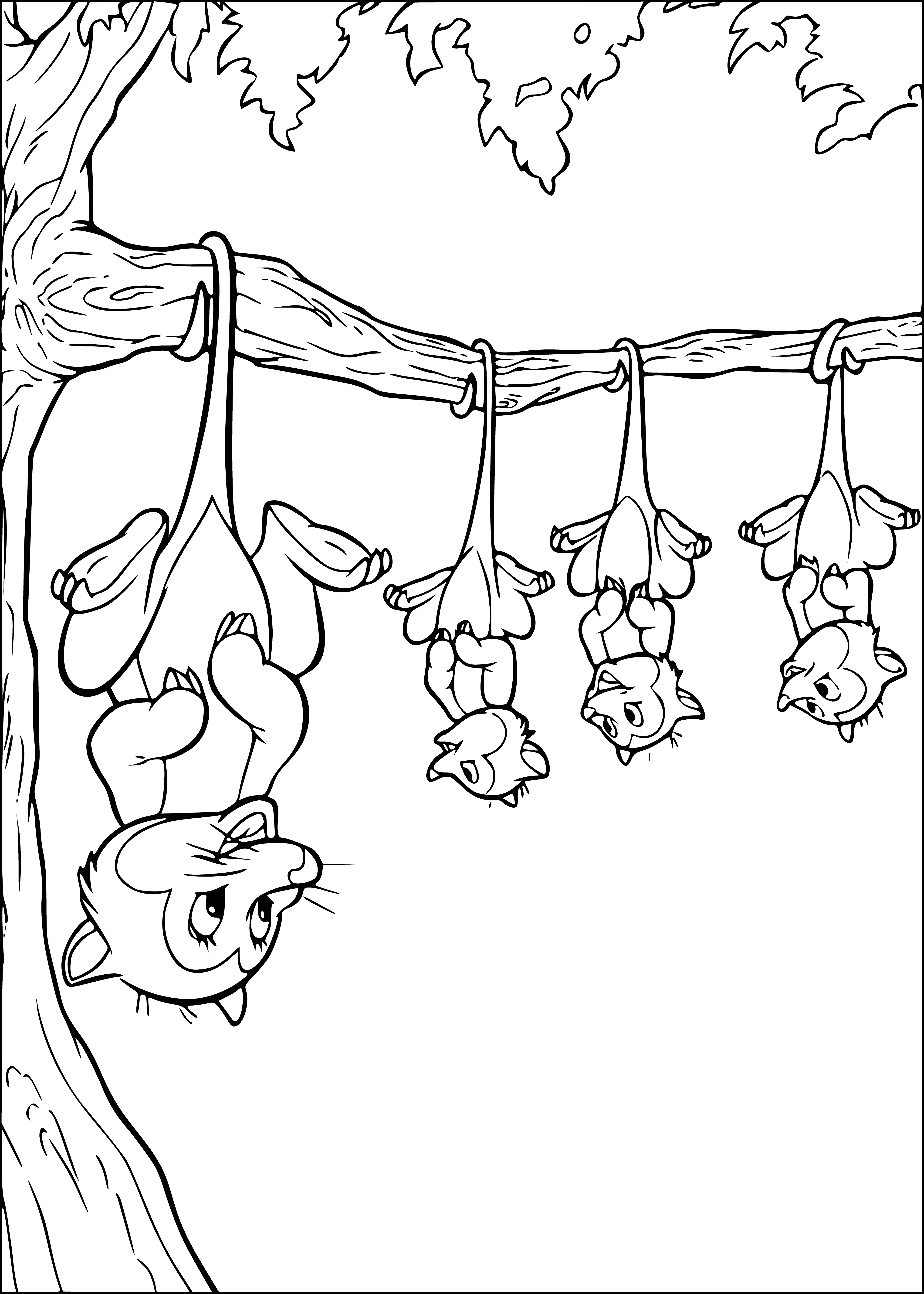 coloring page: A possum hangs from a tree, eyes closed, furrry tail, pointy snout - looks like it's sleeping.
