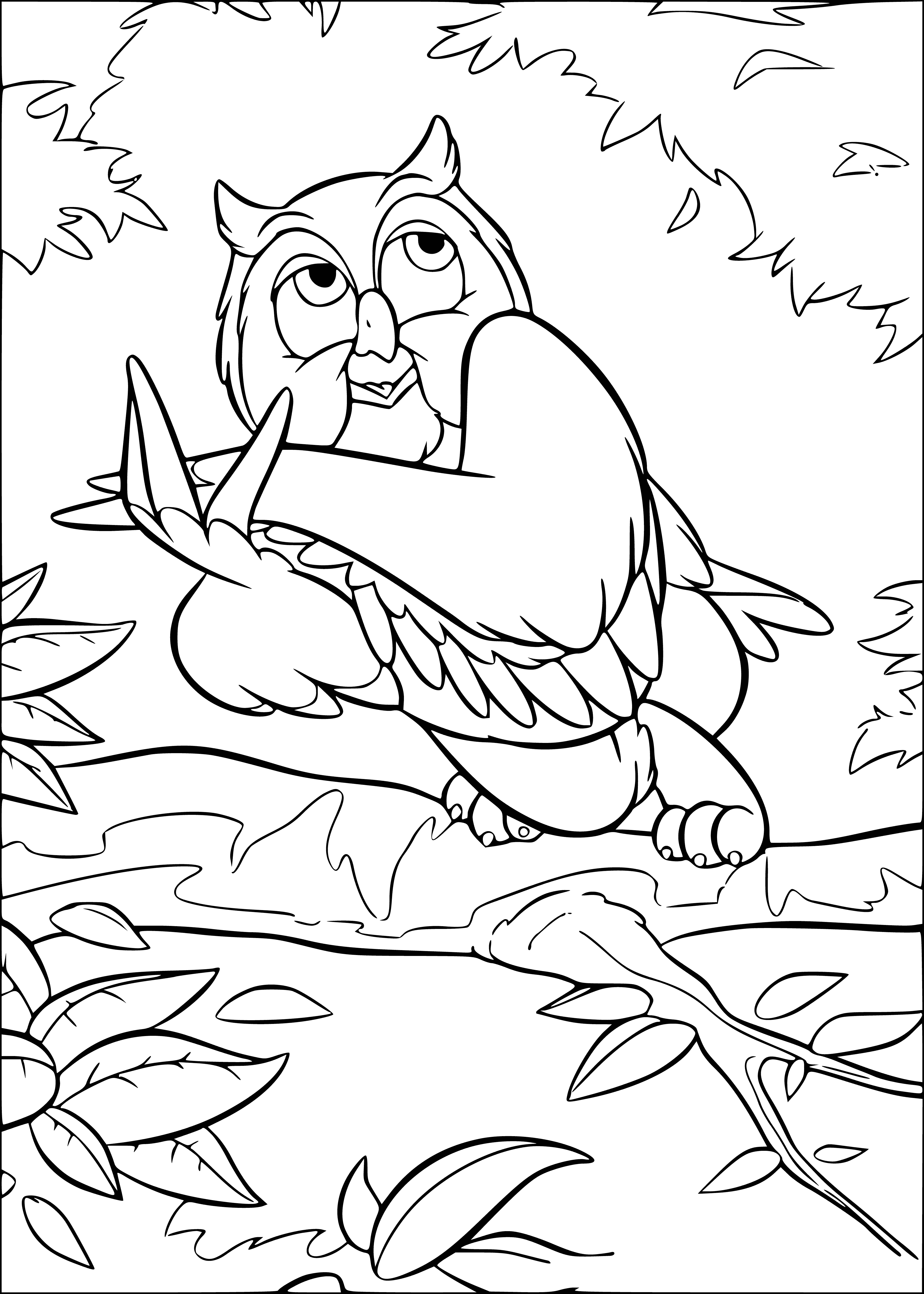 coloring page: Small, brown owl on a tree branch with large, round eyes and white abdomen, looking straight ahead.