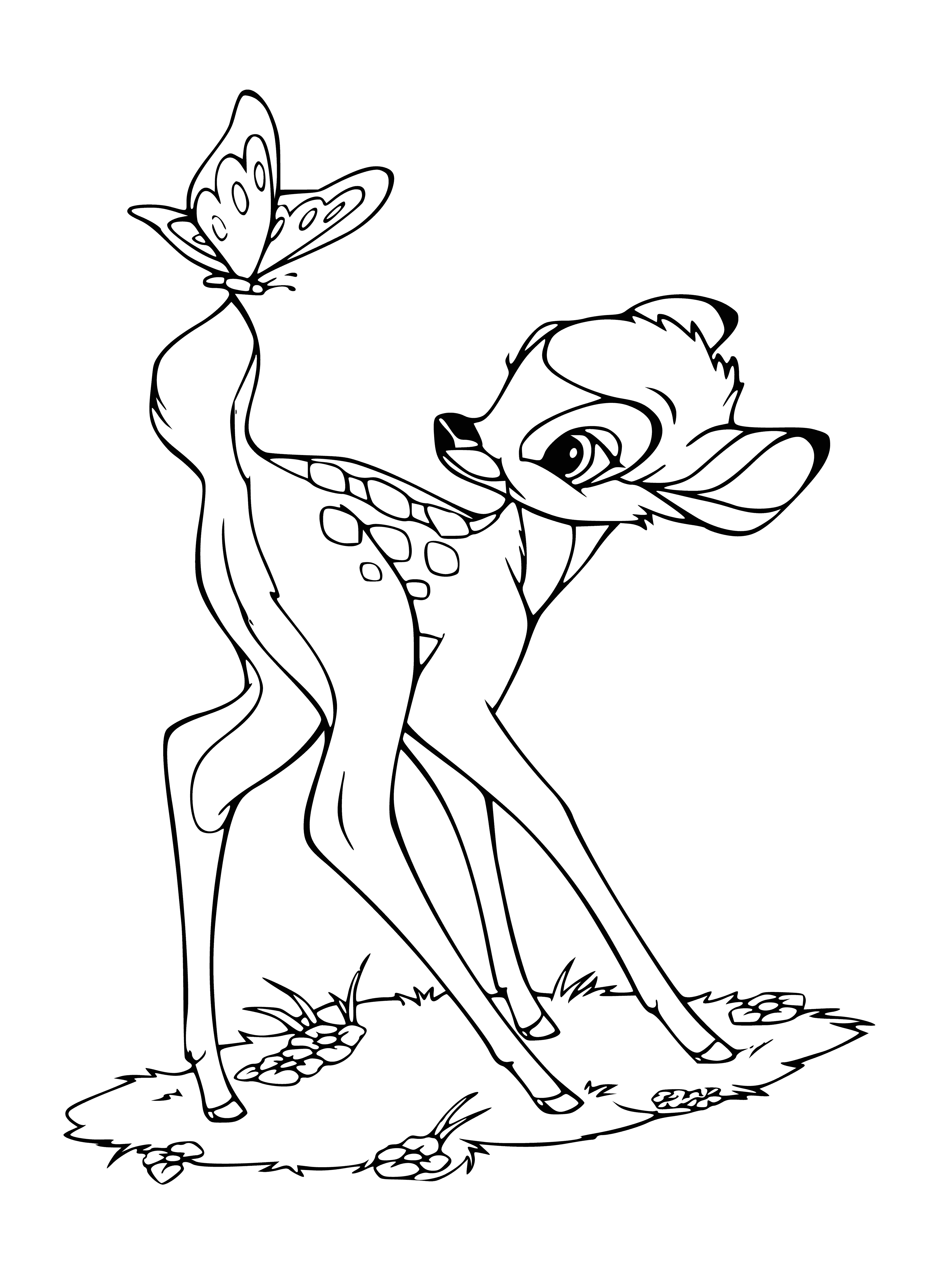 coloring page: Fawn marvels as a yellow & black butterfly dances on a flower, mesmerizing it with its fluttering wings.