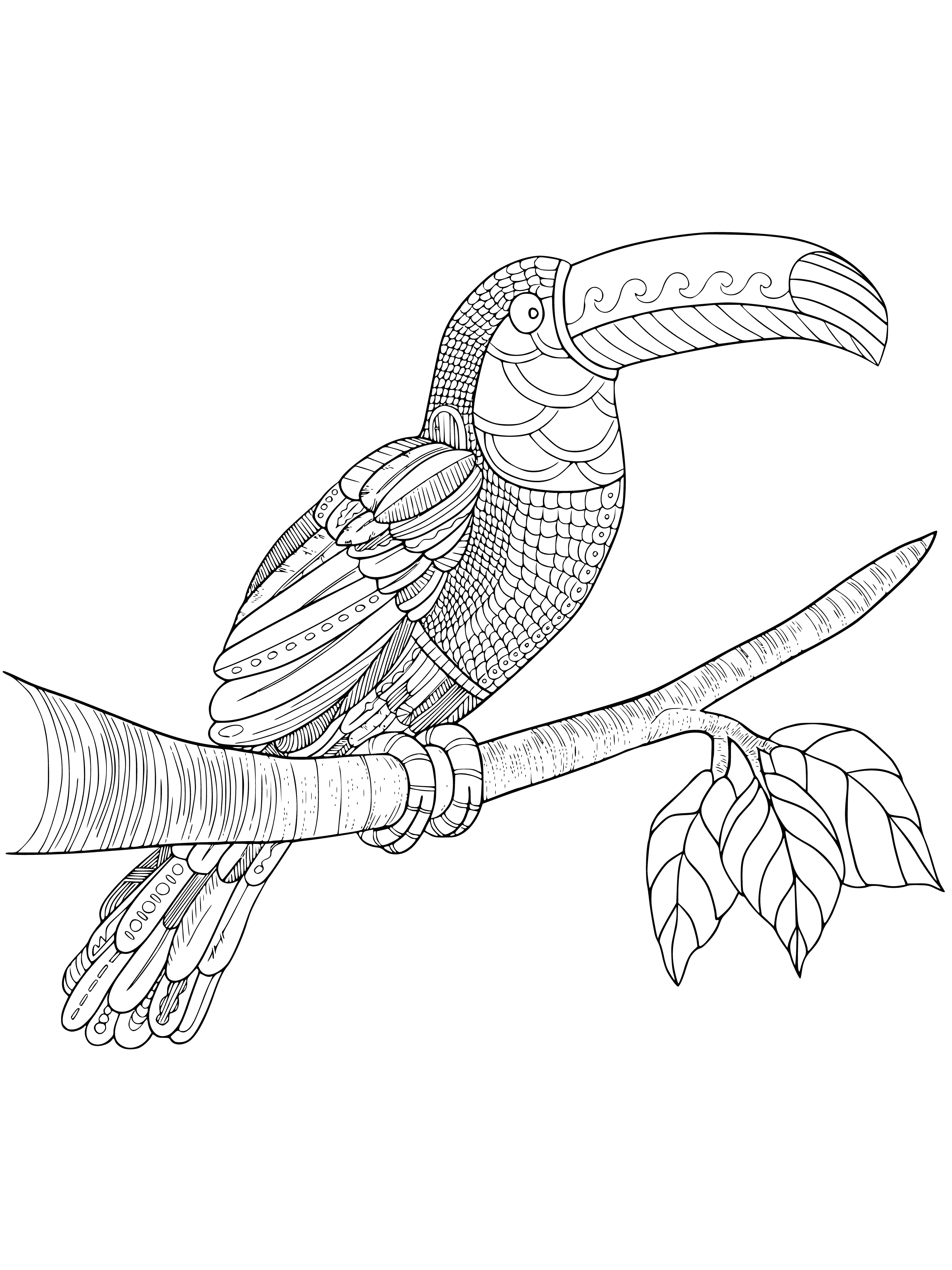 coloring page: Toucan perched atop branch, striking contrast of its colorful feathers vs. lush green jungle. Beak open, as if ready to sing.