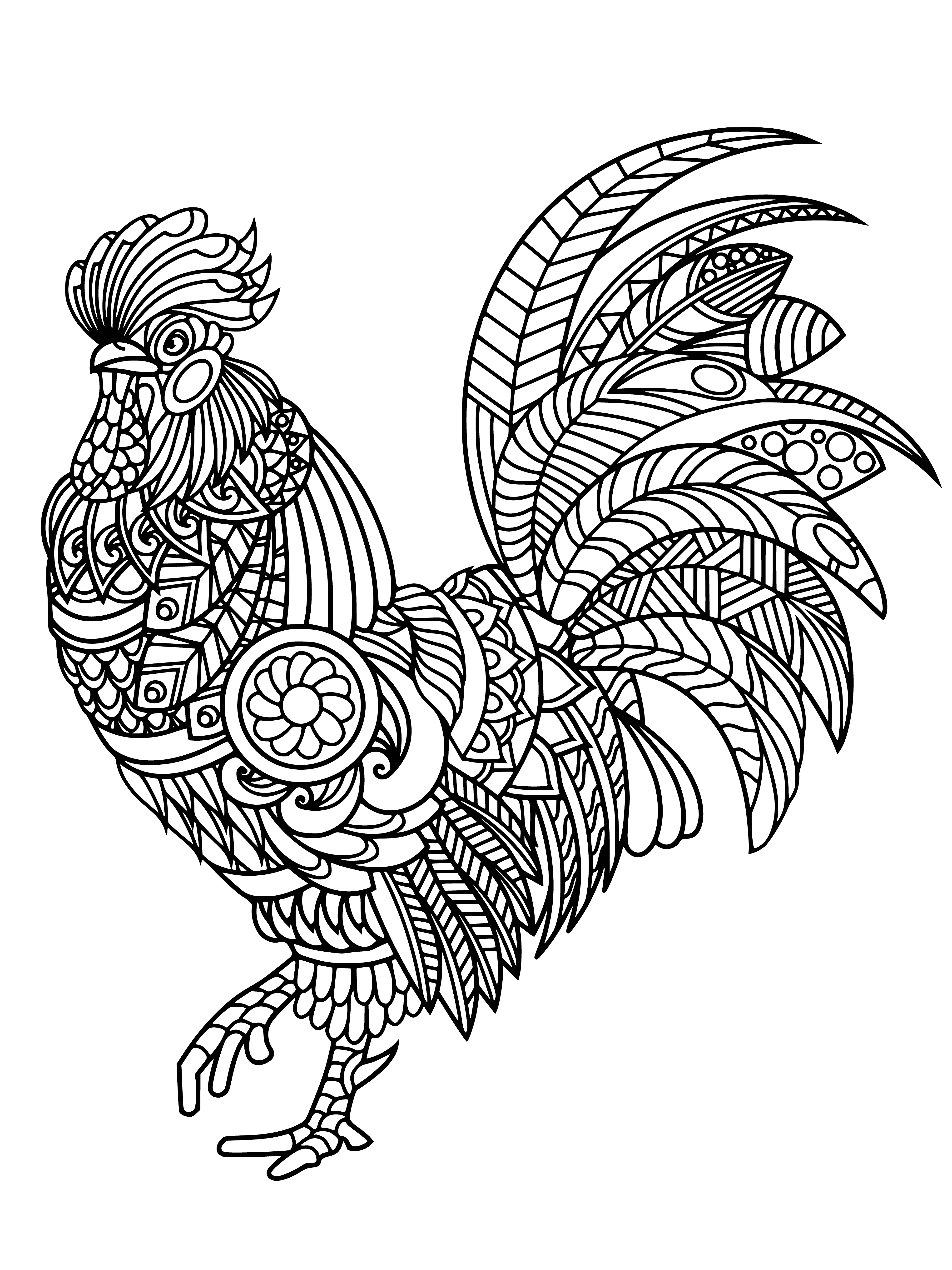 Rooster coloring page