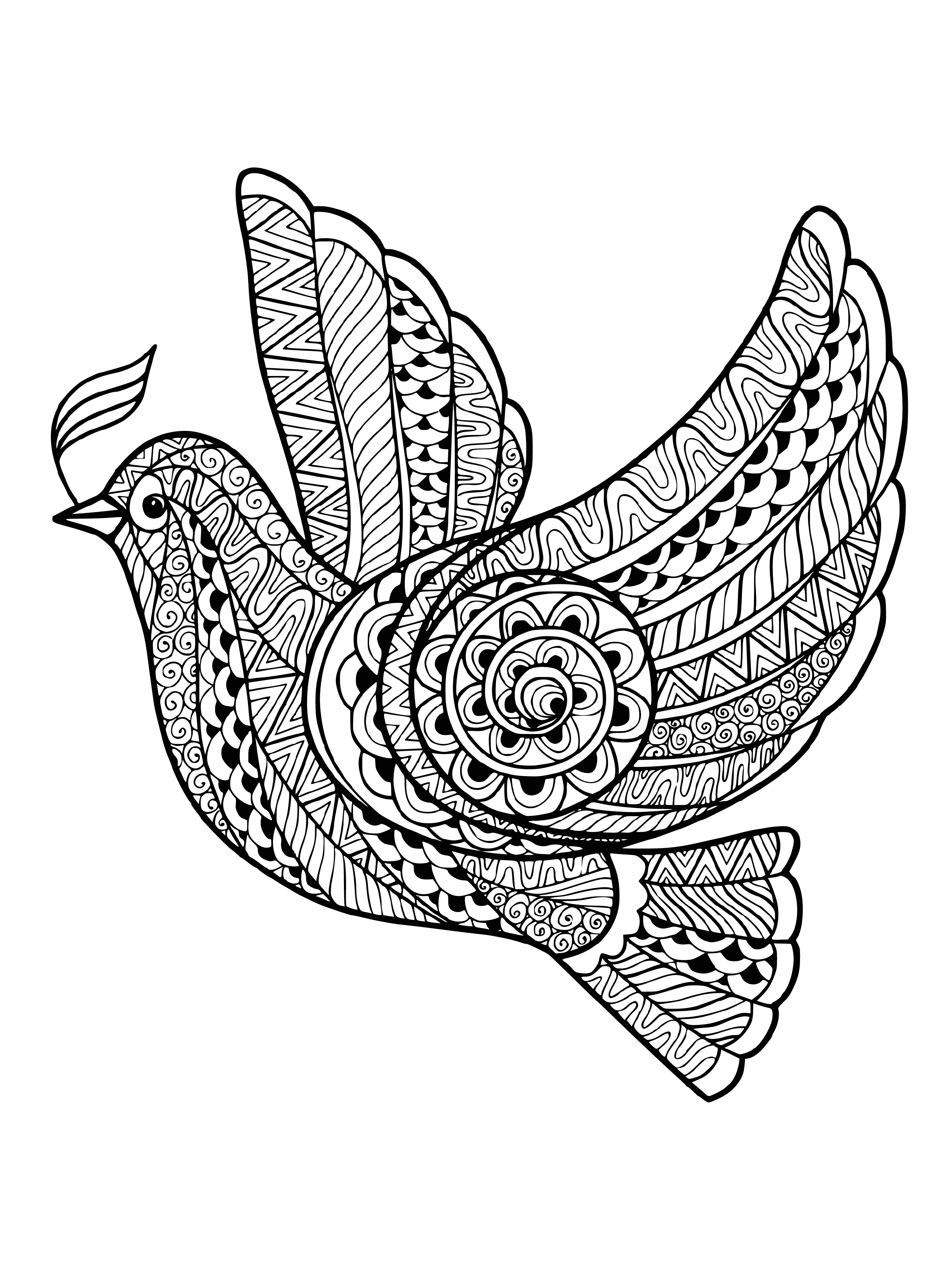 coloring page: Pigeons are calming birds typically with gray and white. Often used in coloring pages for relaxation, destressing, and calming.