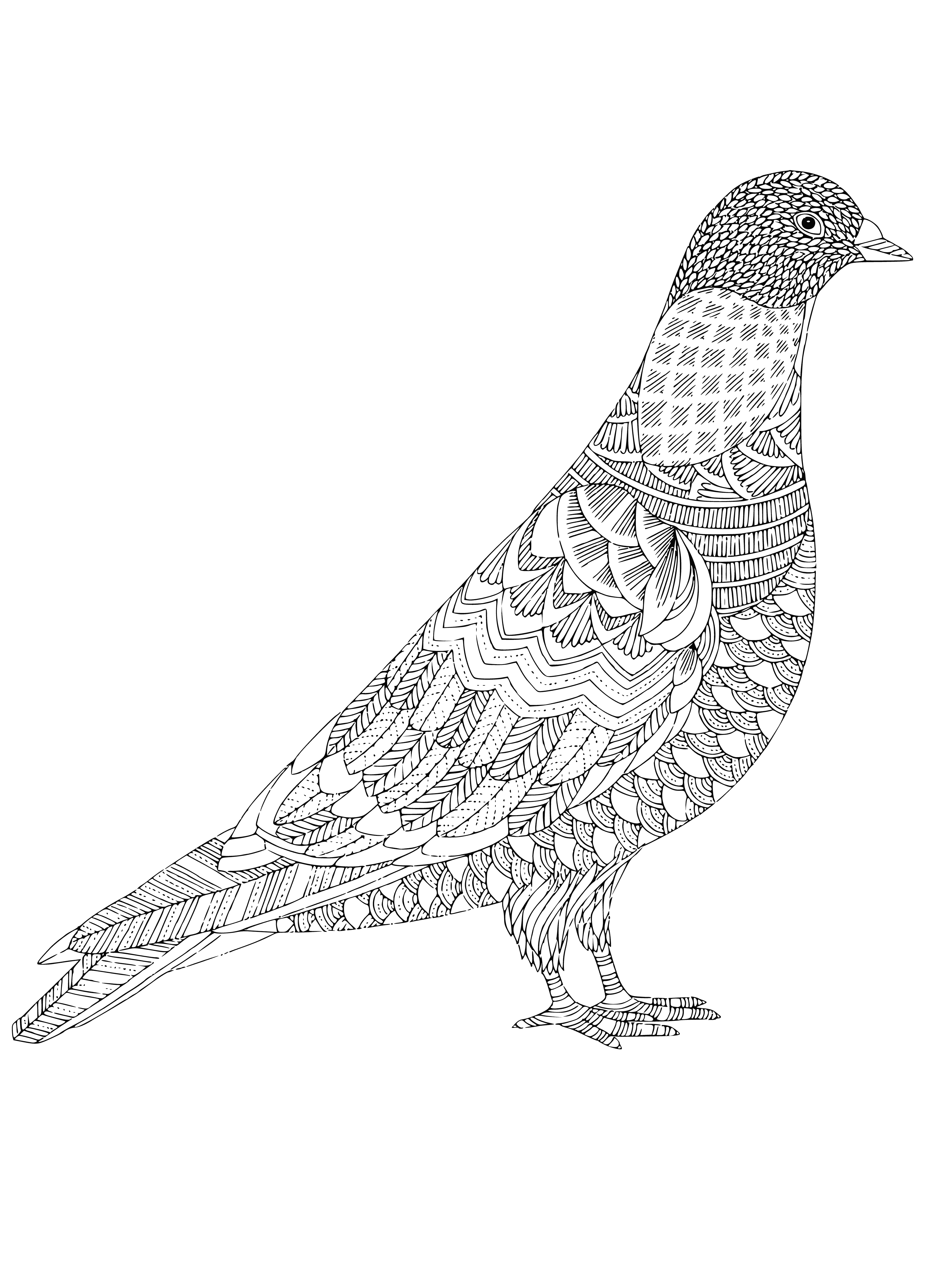 coloring page: Pigeon basks on power line, relaxed, gray body, darker wings, eyes closed, appreciating the world below.