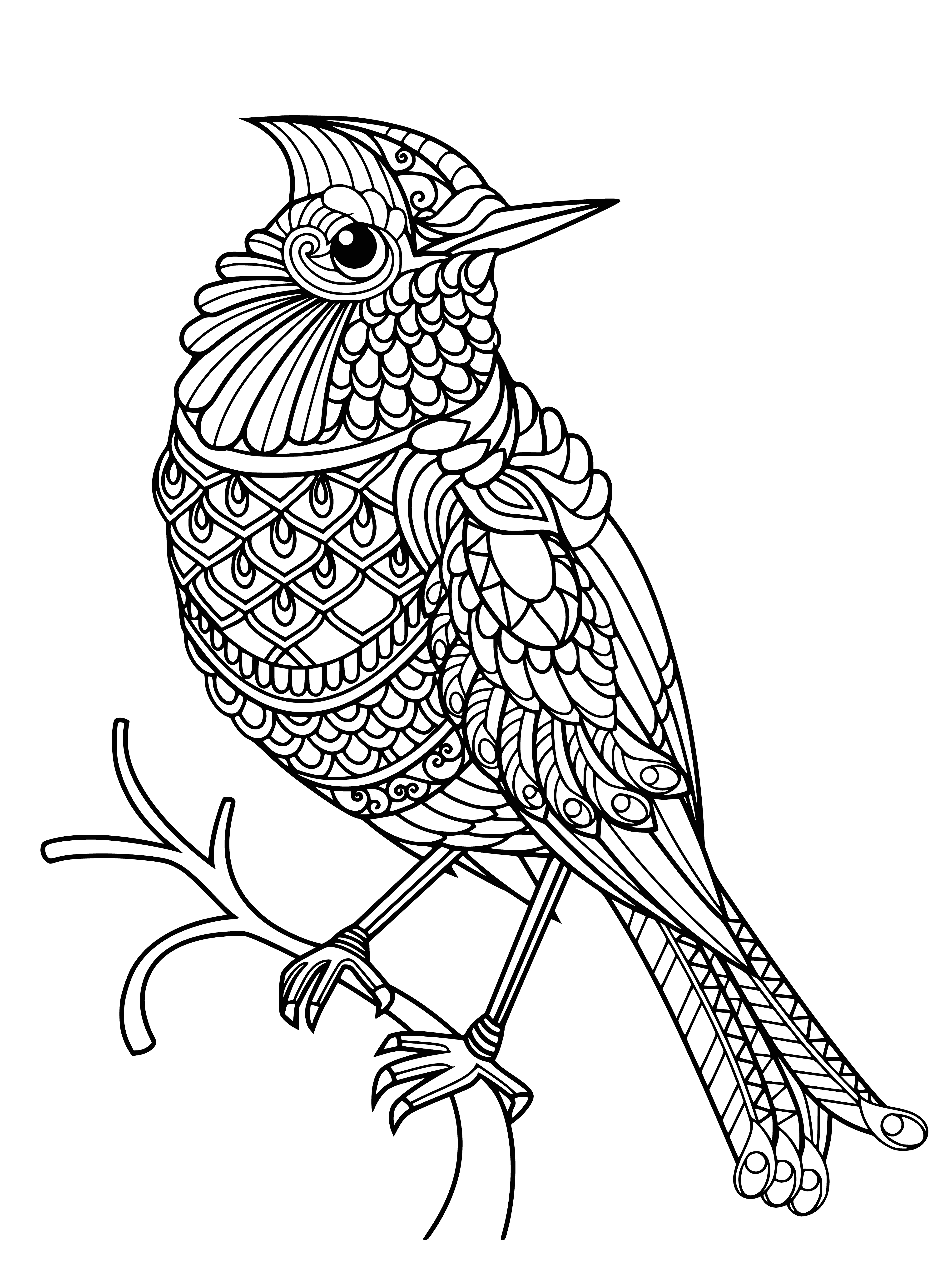 coloring page: A bird relaxes on a branch, head lowered, eyes closed, enjoying the moment.