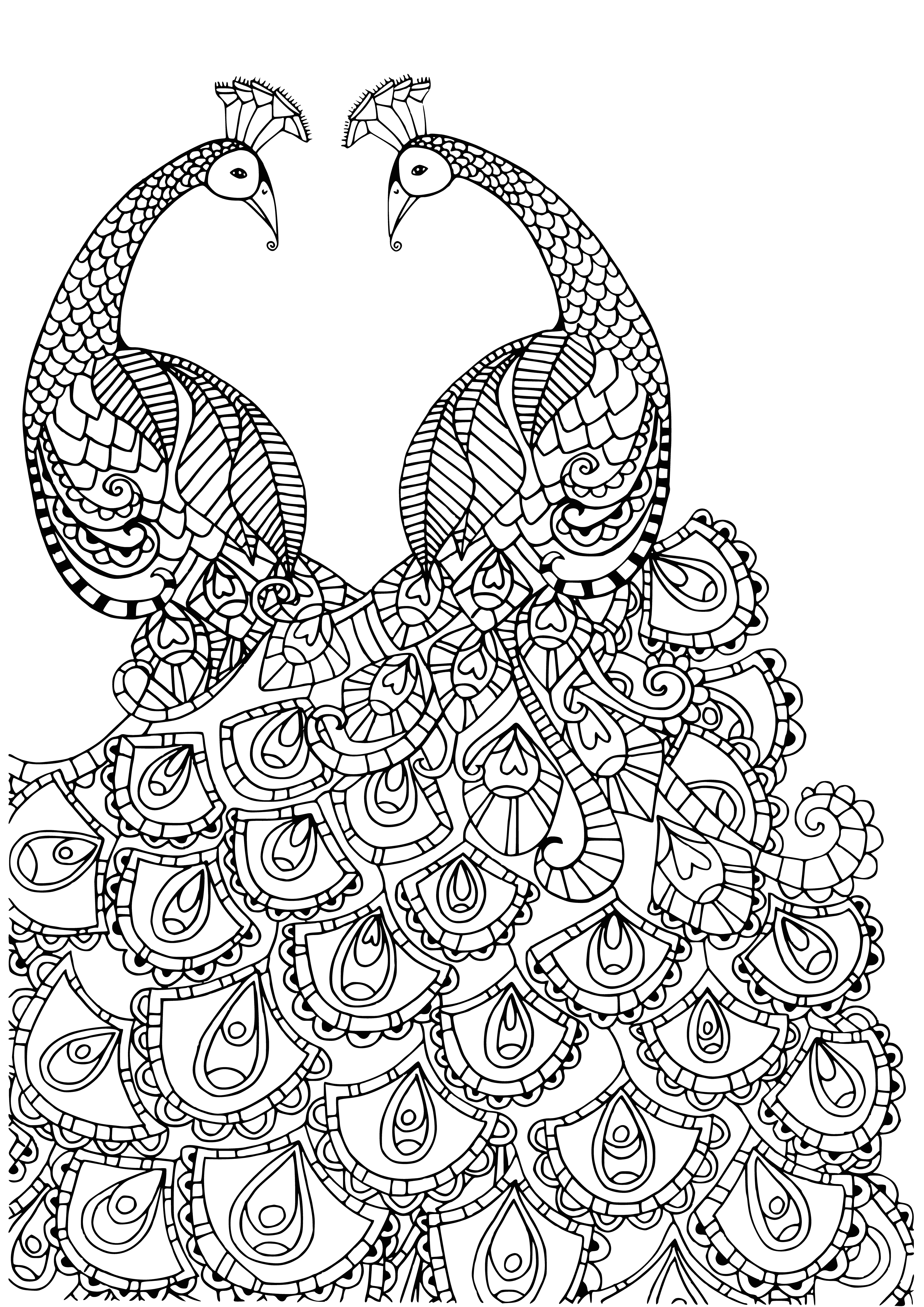 coloring page: Proud peacocks show off their long, colorful tails and enjoy the attention they get.
