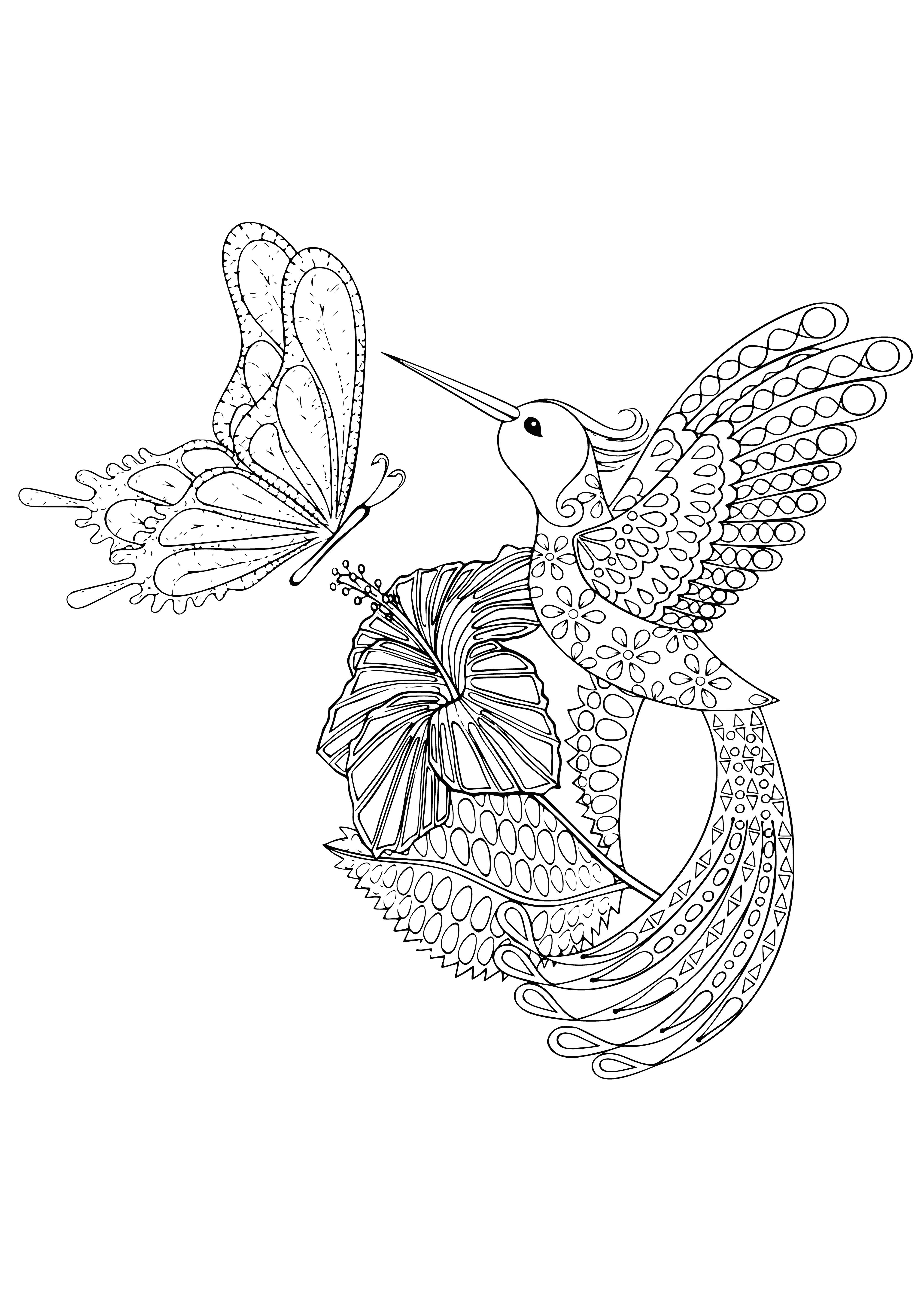 coloring page: Two pink hummingbirds fly side-by-side with curved beaks, thin tails, and small feet.