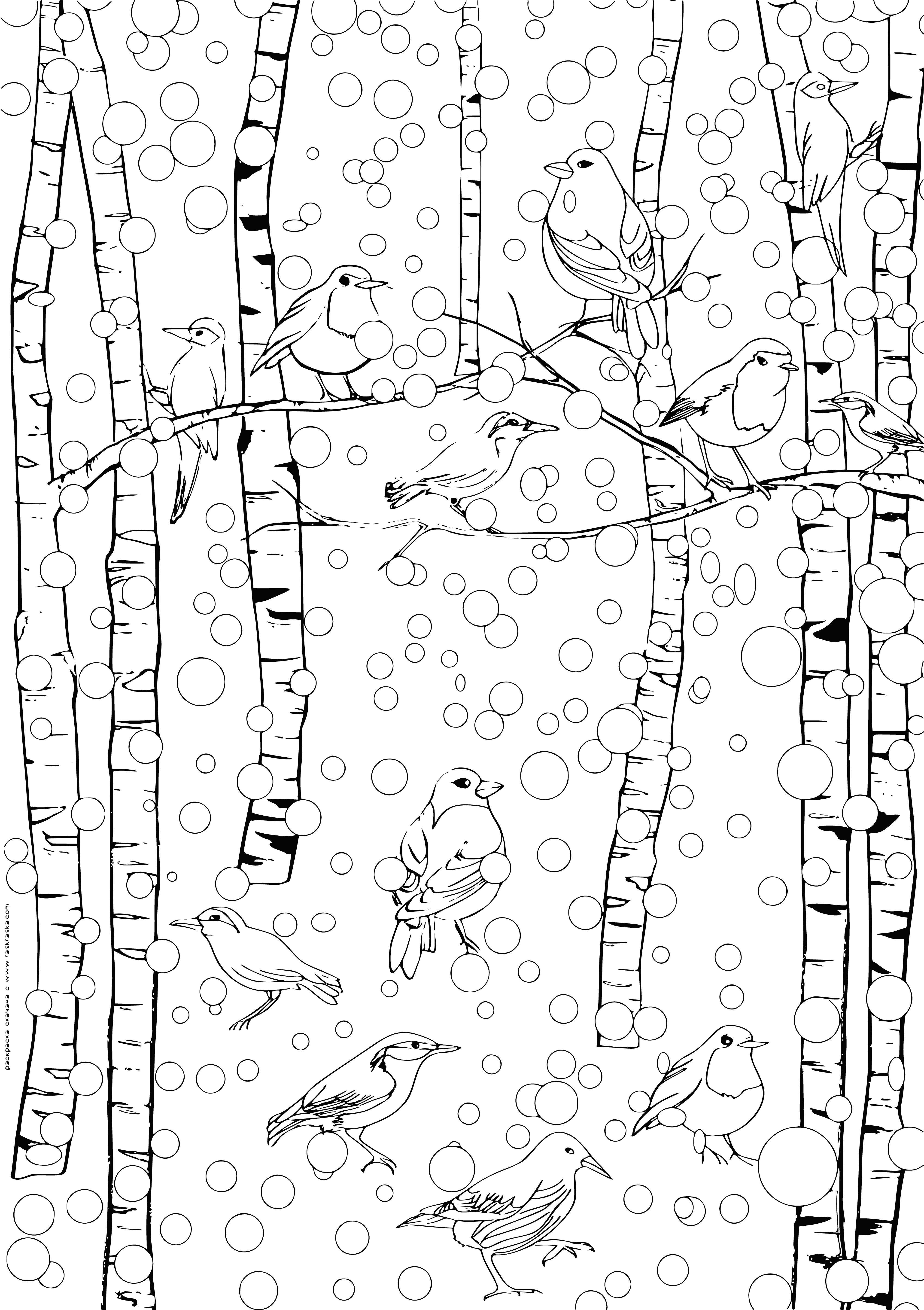 coloring page: Several colorful birds in a winter forest, with wings & beaks open, stand on tree branches & in the snow.