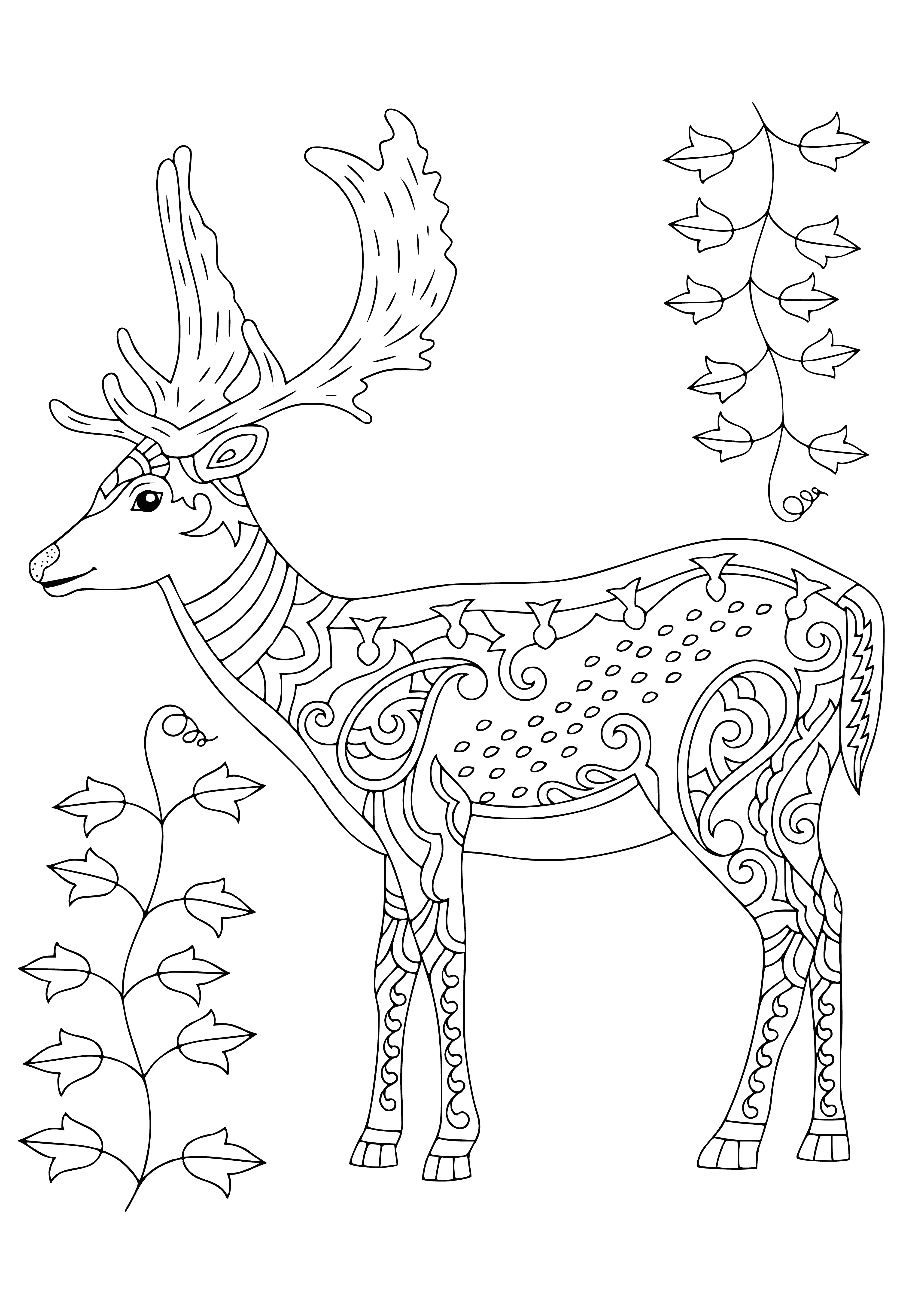 coloring page: A brown deer with a white tail looks at the viewer in a green field.