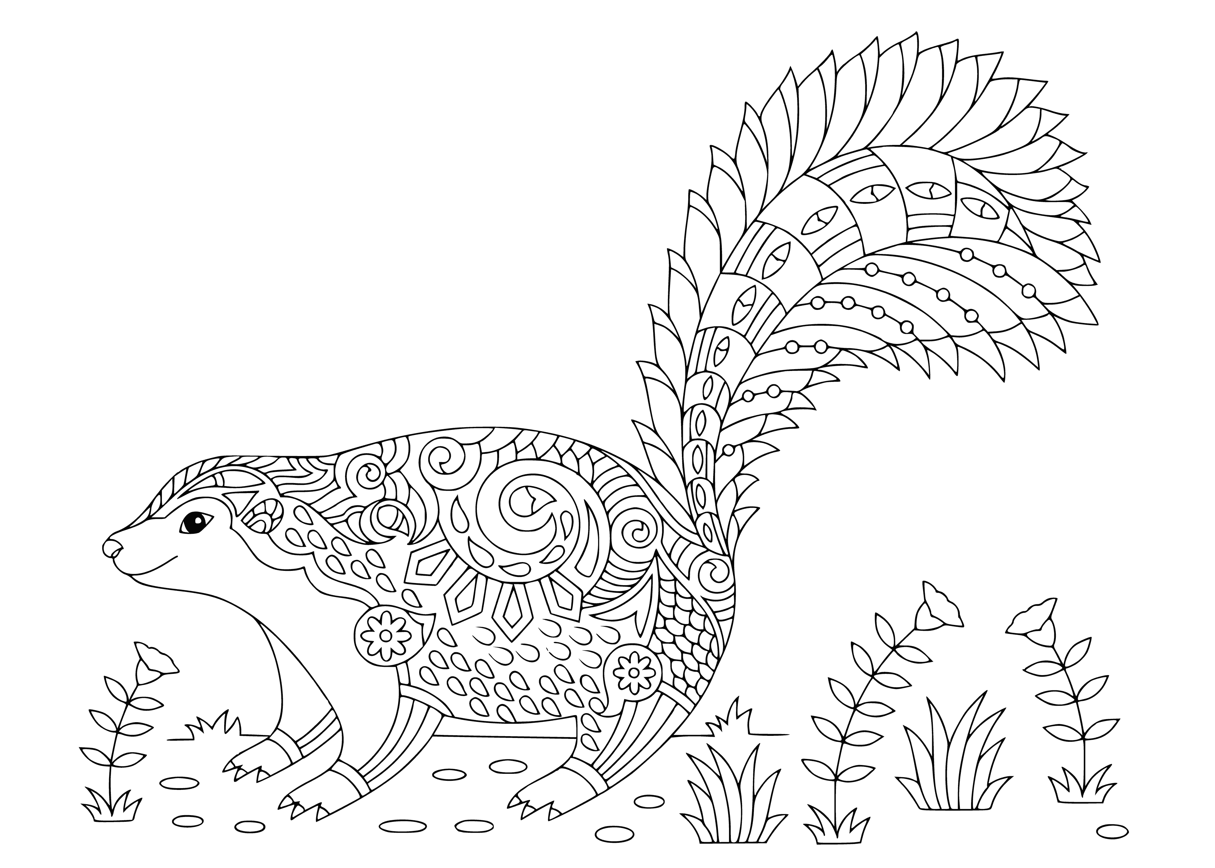 coloring page: Nocturnal skunk sprays foul-smelling liquid to deter predators. Active mainly at night.