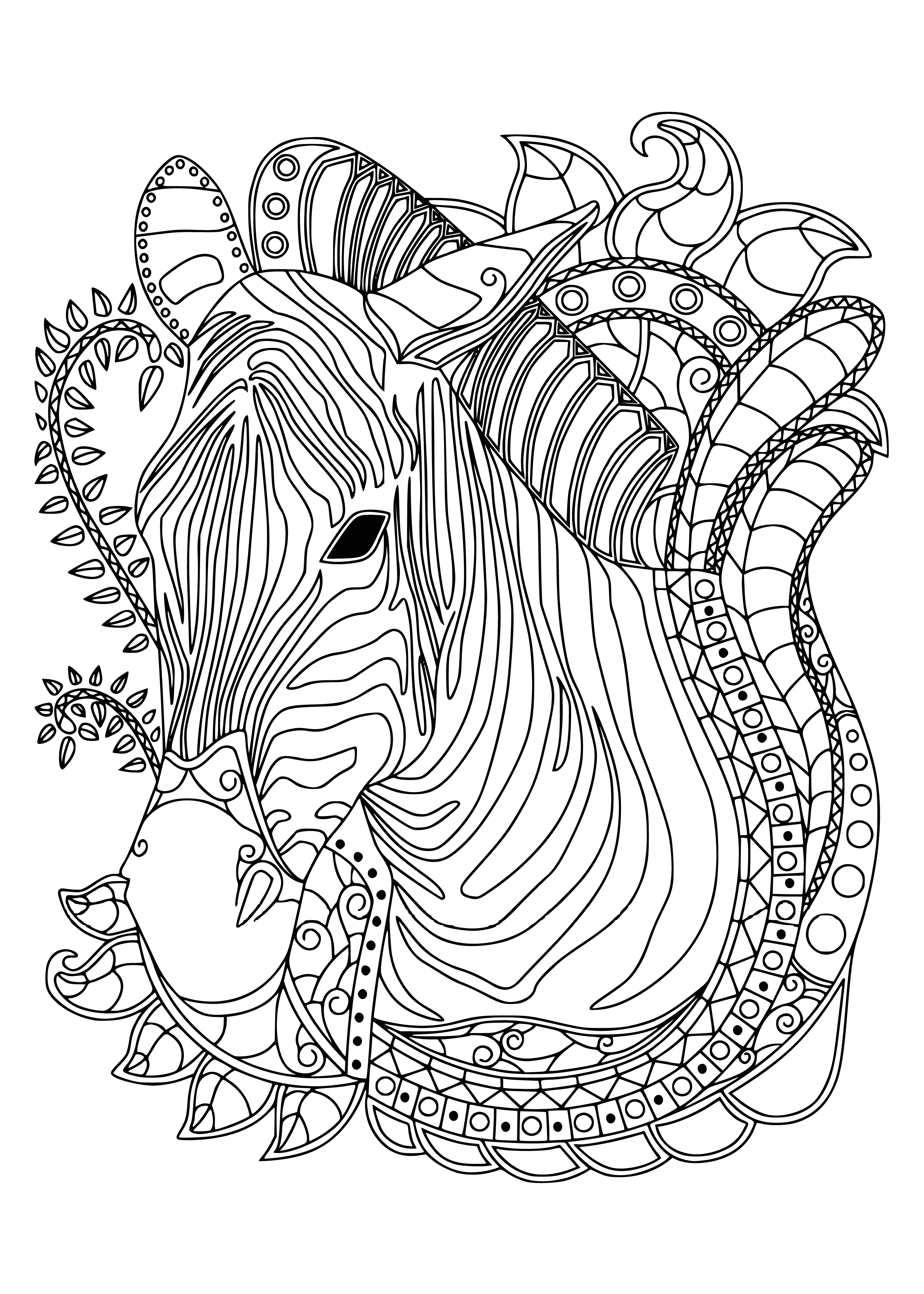 coloring page: A zebra munches grass in a field, its black and white stripes creating a beautiful sight.