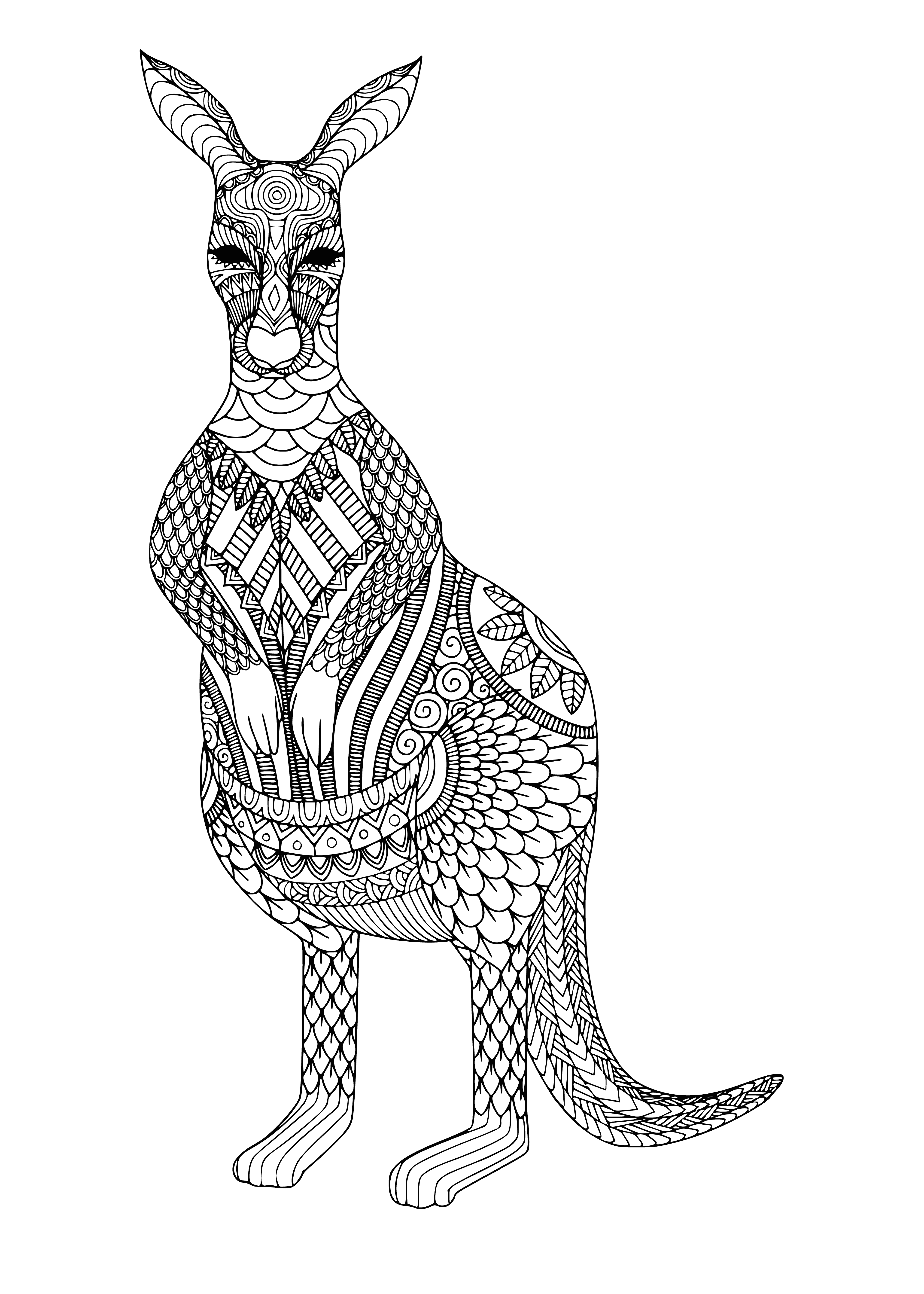 coloring page: Coloring page of standing kangaroo in brown and white fur, with trees and leaves in background.