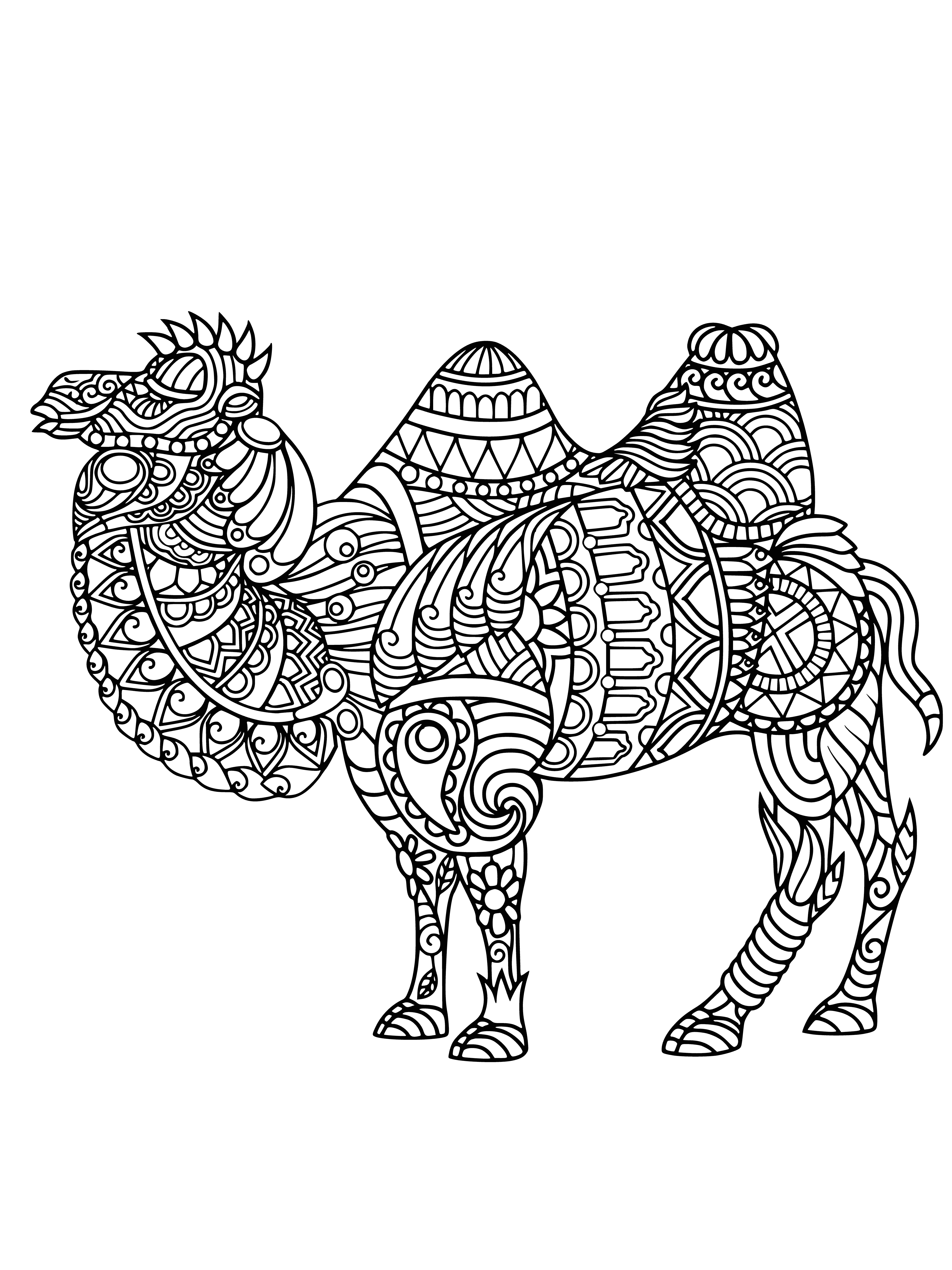 coloring page: Dromedary camel gazing with big, brown eyes. Light brown coat and long neck with a rounded hump, standing in desert-like landscape.