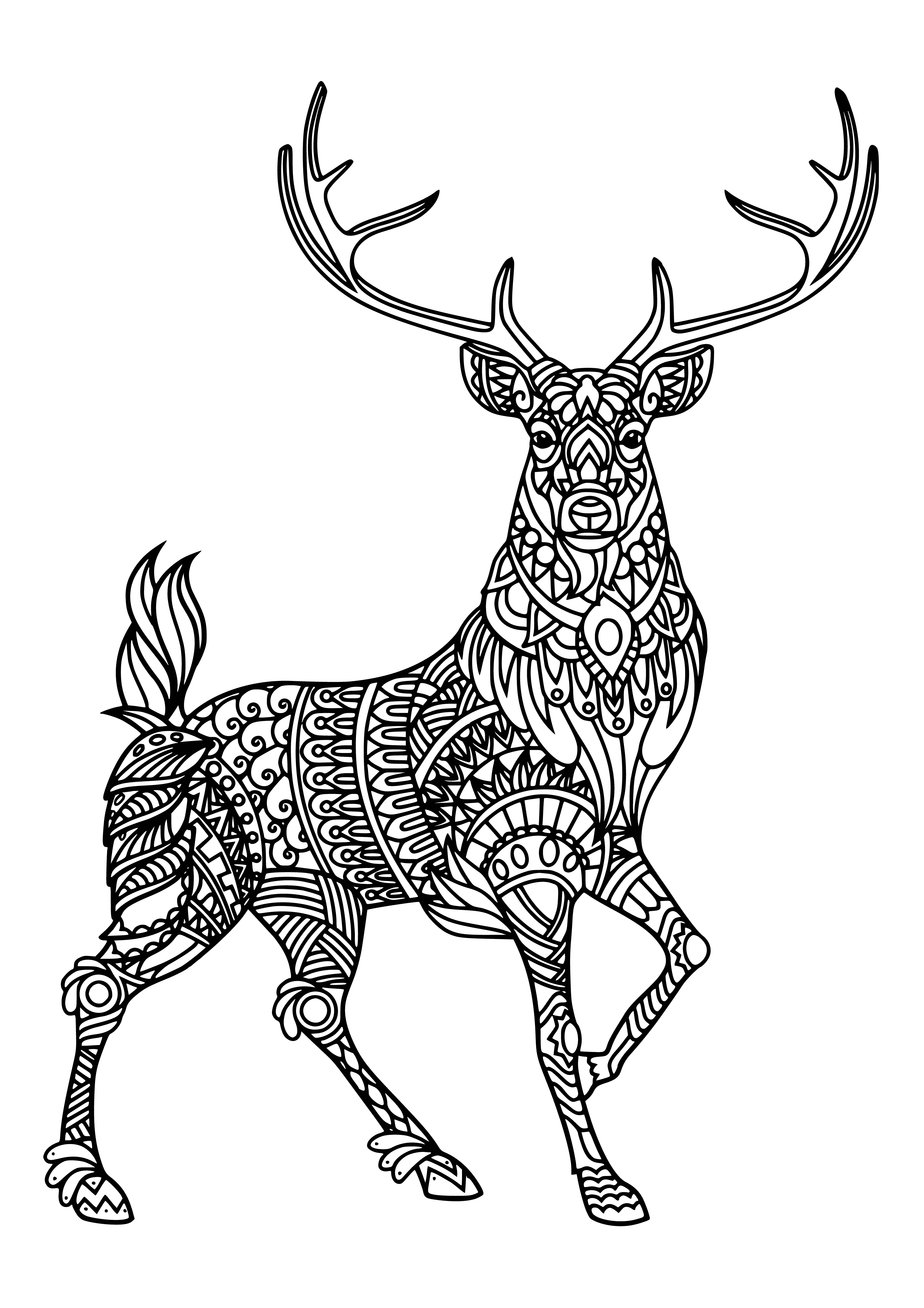 coloring page: A deer stands in a sunlit forest with a light coat of fur and horns visible, gazing at the viewer with its big brown eyes. #Nature
