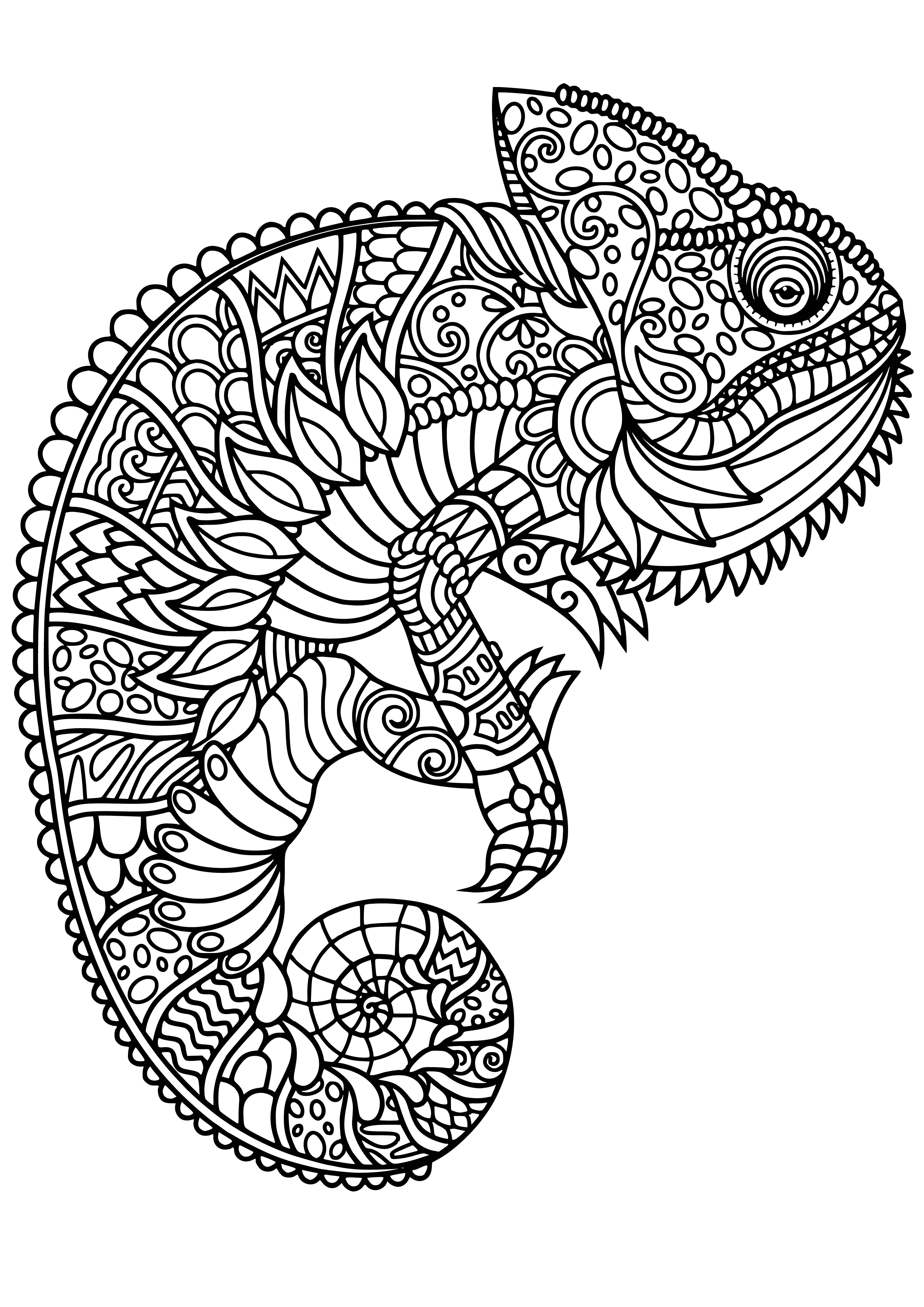 coloring page: Chameleon coloring page featuring a long tongued green & yellow chameleon reaching for a fly. #coloringpages #chameleon