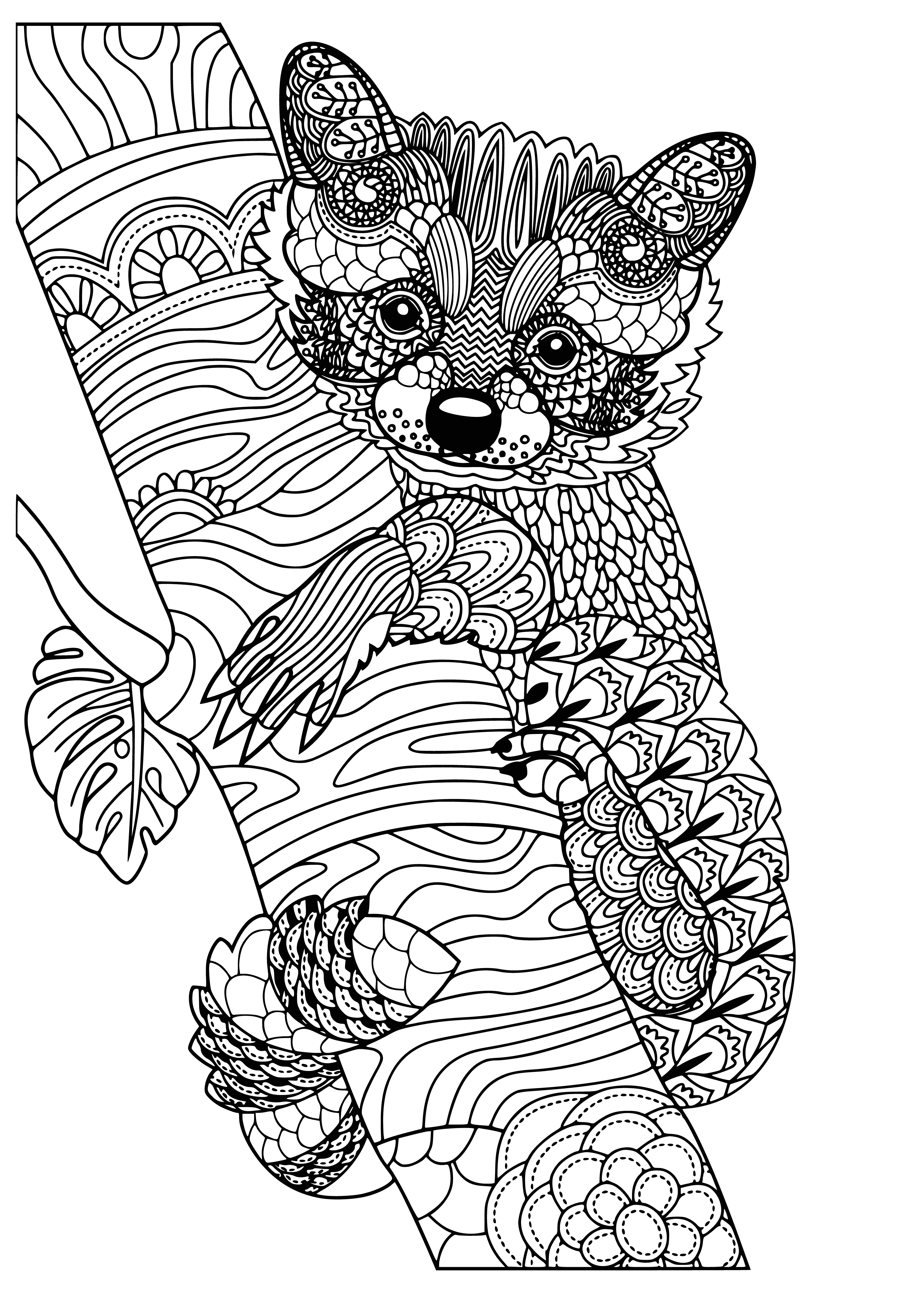 coloring page: Small ant-like creature perched on blade of grass with large head, black body, white belly and two black wings.