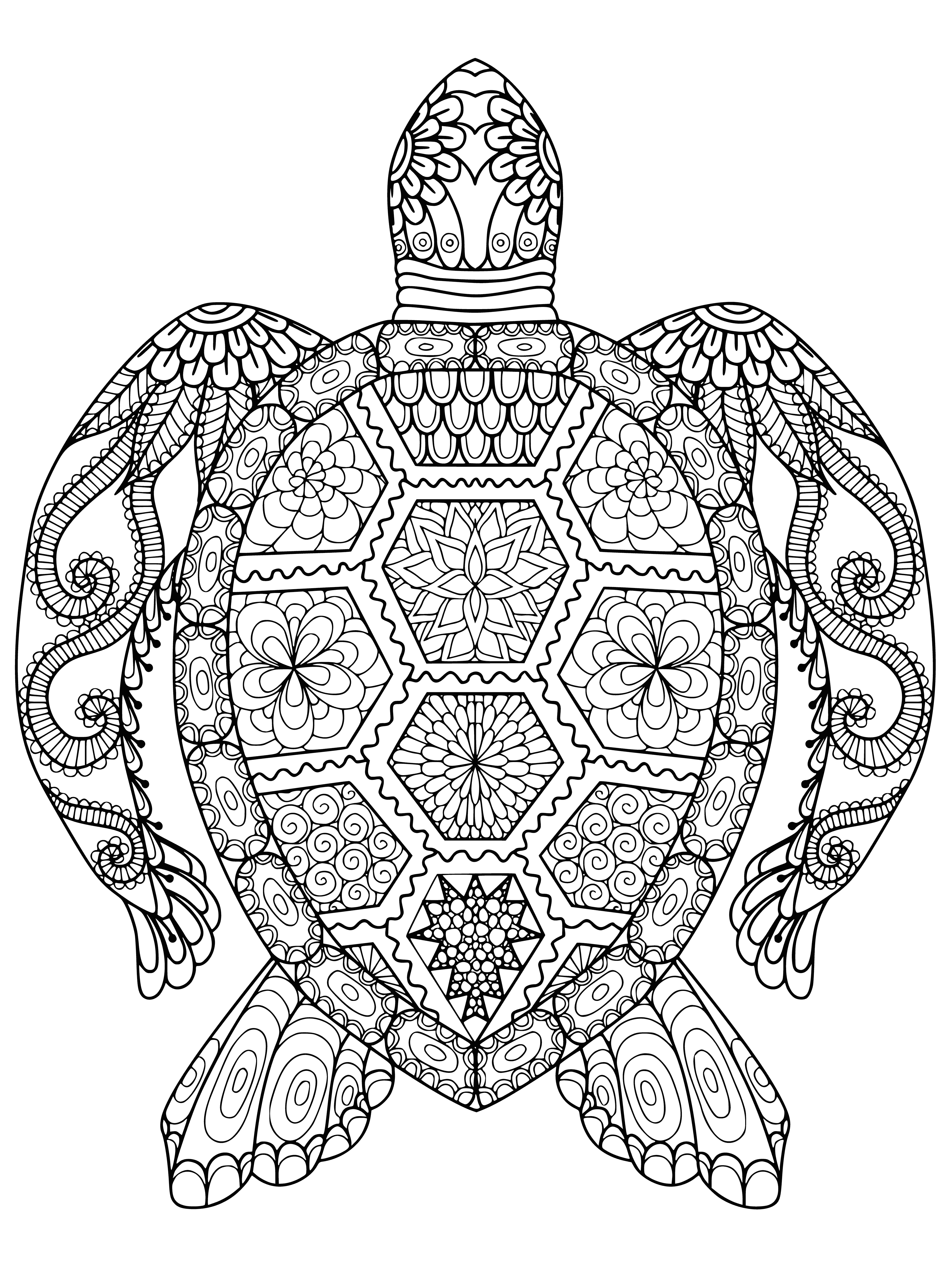 coloring page: Turtle swimming in ocean surrounded by colorful fish & coral - soothing Adult Coloring antistress Sea - Sea Turtle.