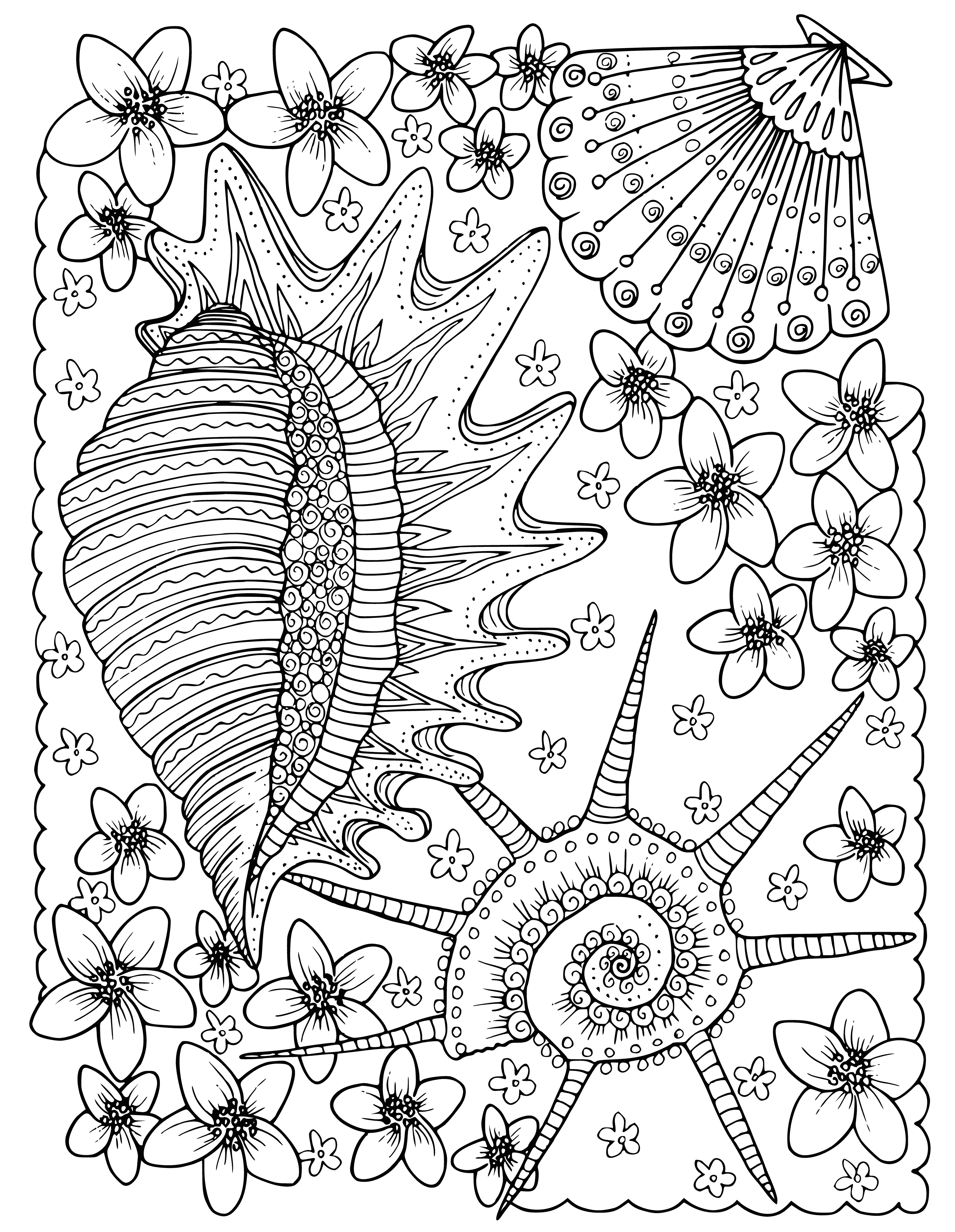 coloring page: Colorful beach shells of various sizes on a blue sky w/ clouds background. Have fun coloring!