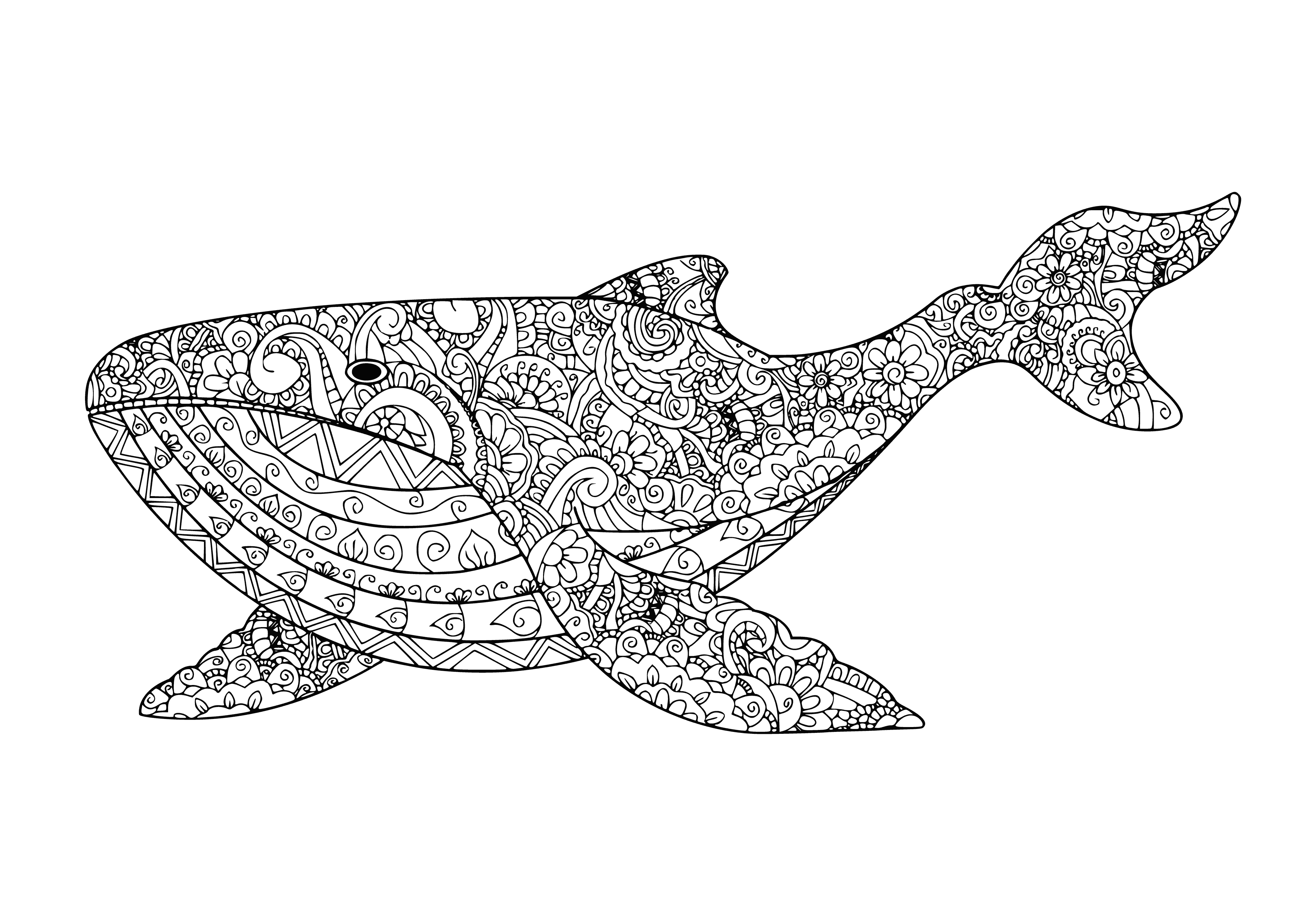 coloring page: Coloring kit with pages of sea creatures, sun, and waves to reduce stress and bring joy.