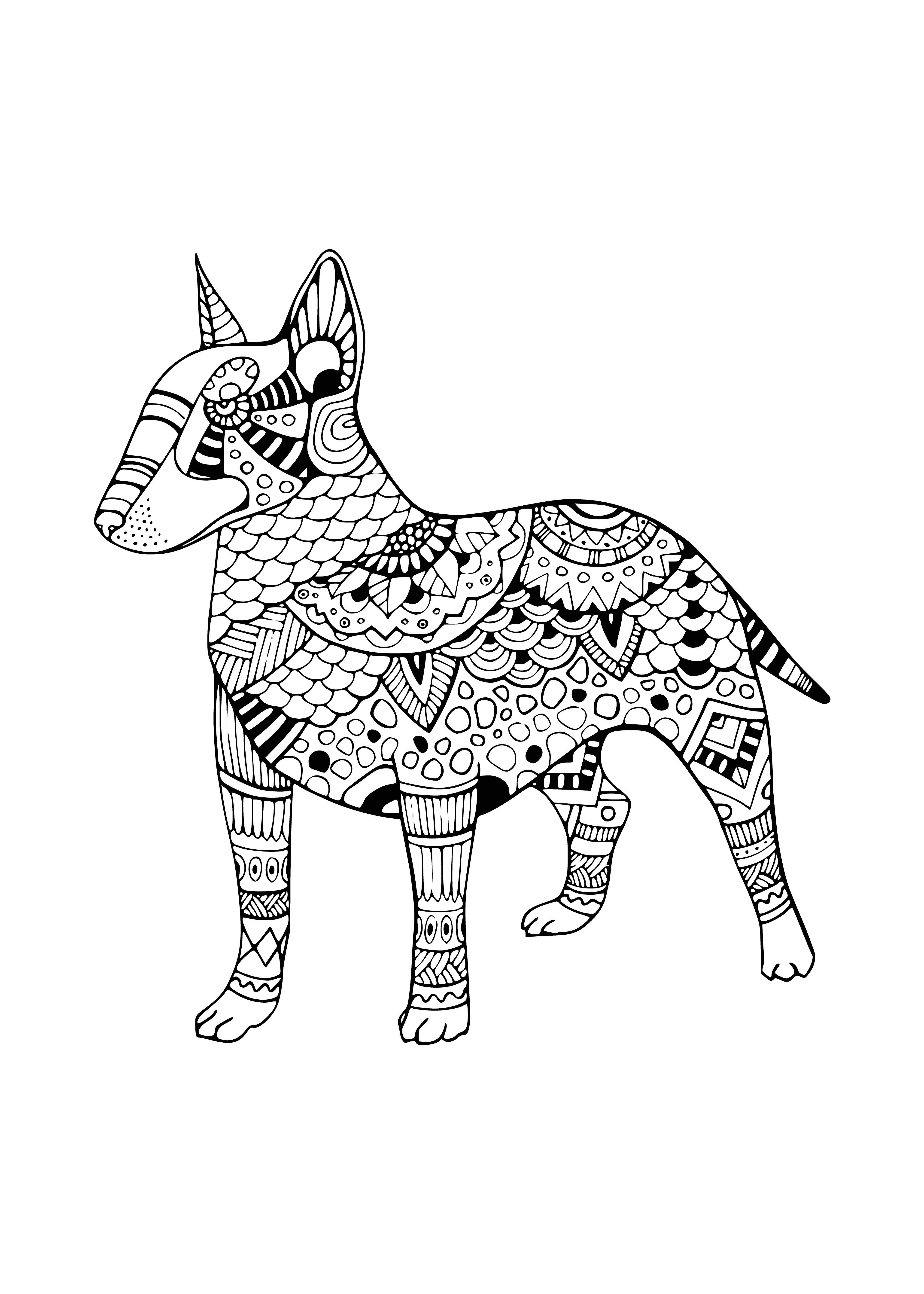 Bull terrier coloring page