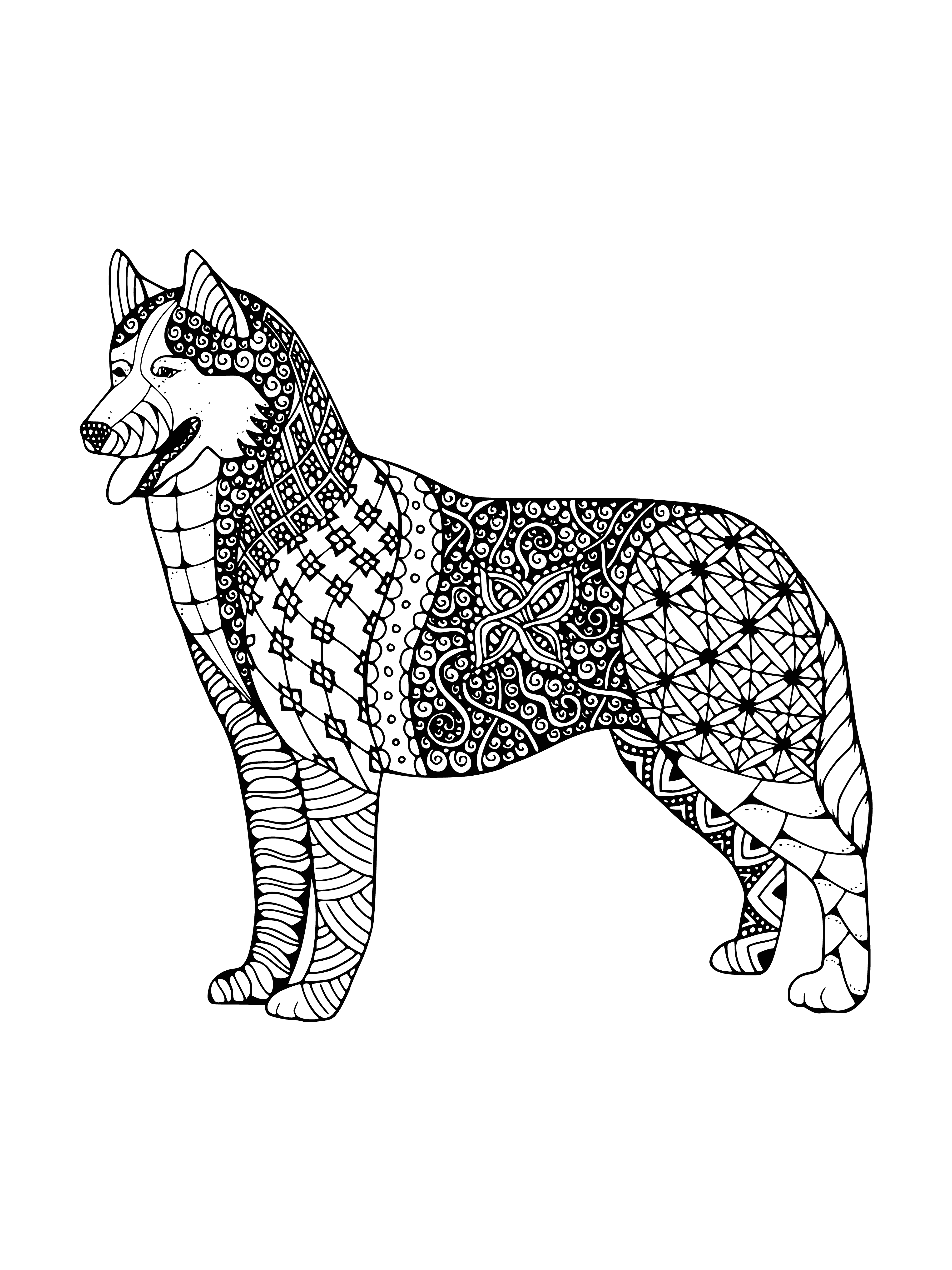 coloring page: Coloring page of a cute husky dog, sitting down with its head turned, fur thick and fluffy. #adultcoloring #animalcoloring