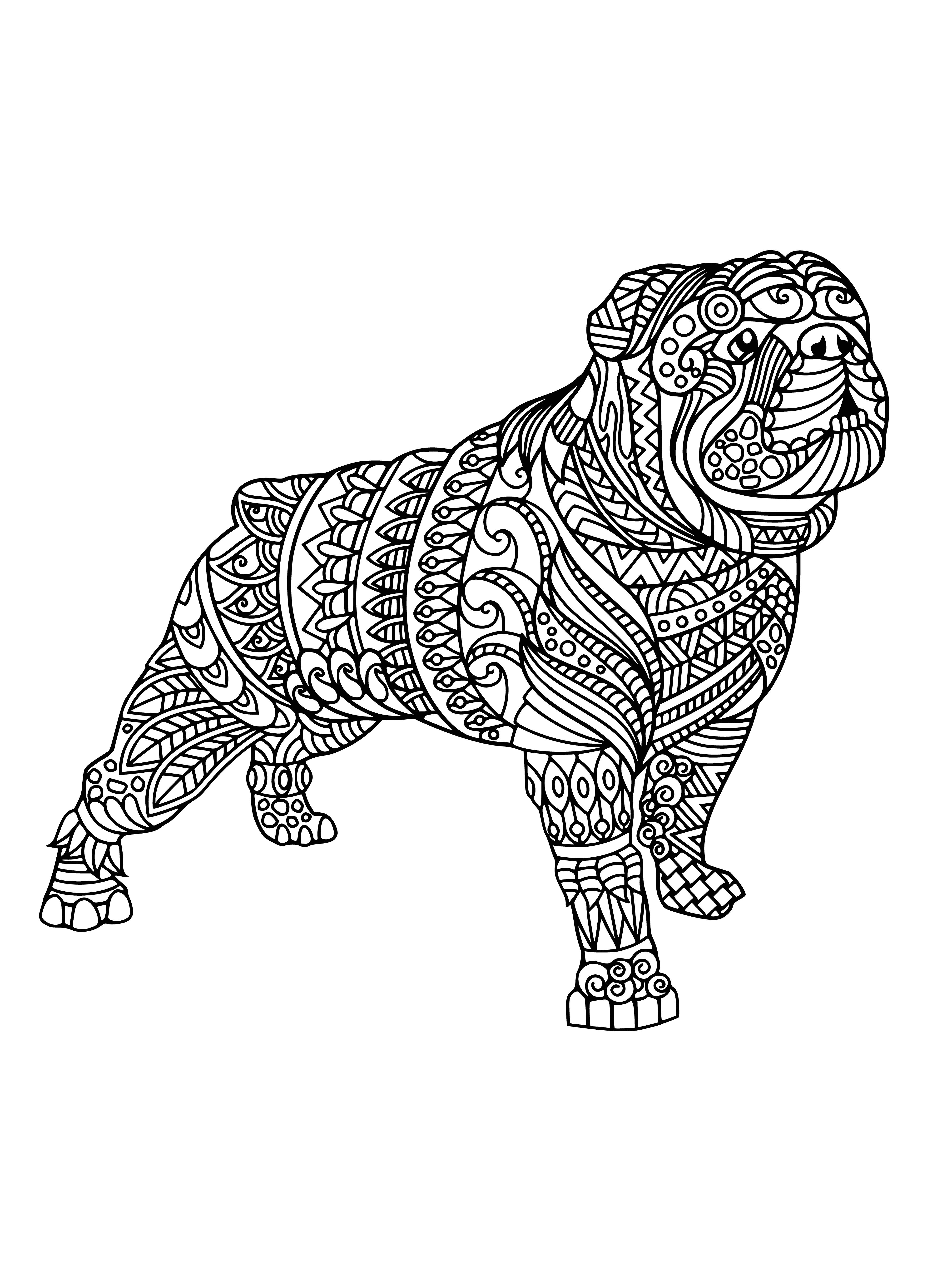 coloring page: White-brown mix dog stands in grassy field with short muzzle, stocky build, floppy ears, and tongue out.