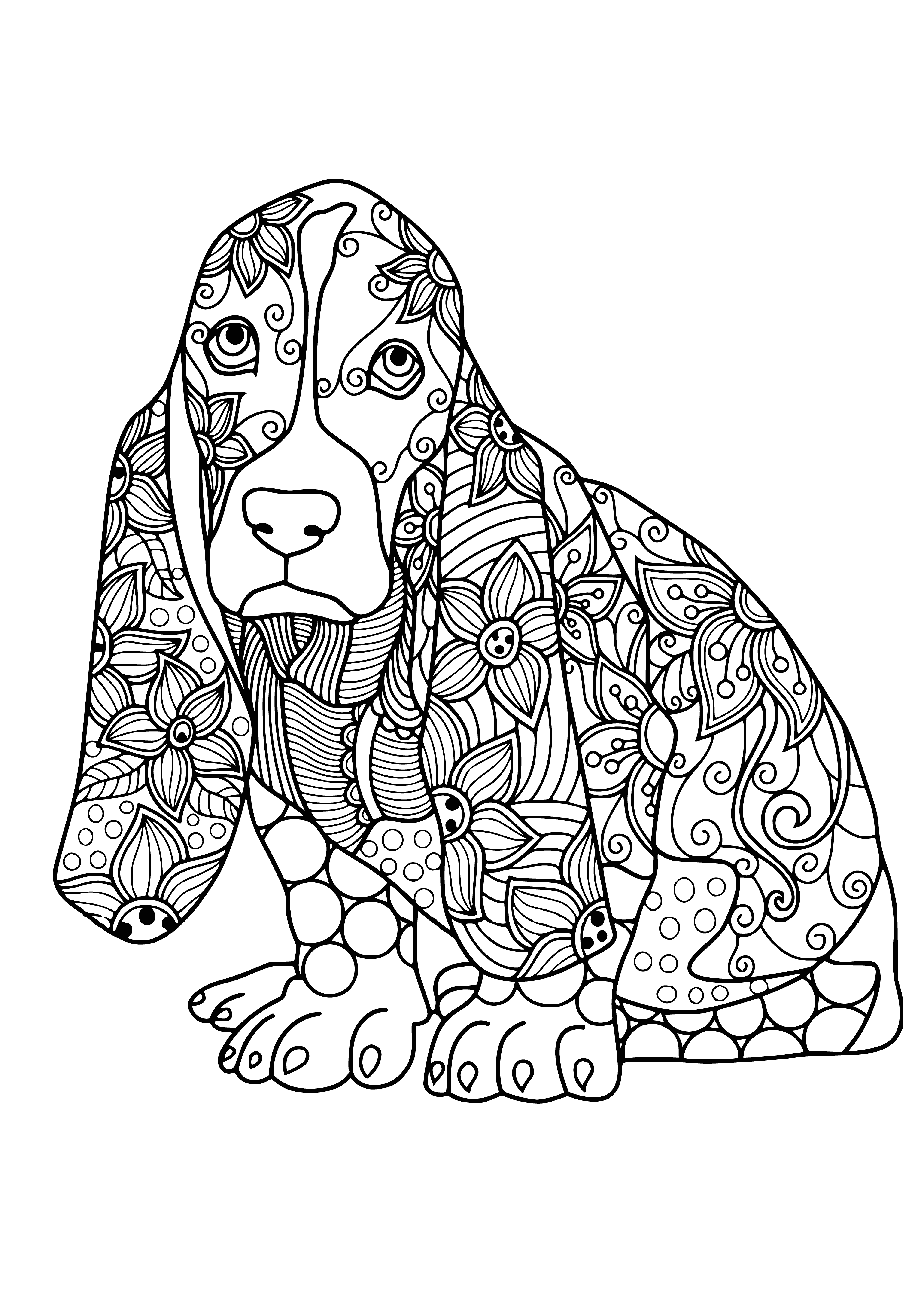 coloring page: A Basset Hound is featured on this coloring page. It has a long body and droopy ears. Its coat is short and brown with a white line on the face. #ColoringPages #Dogs