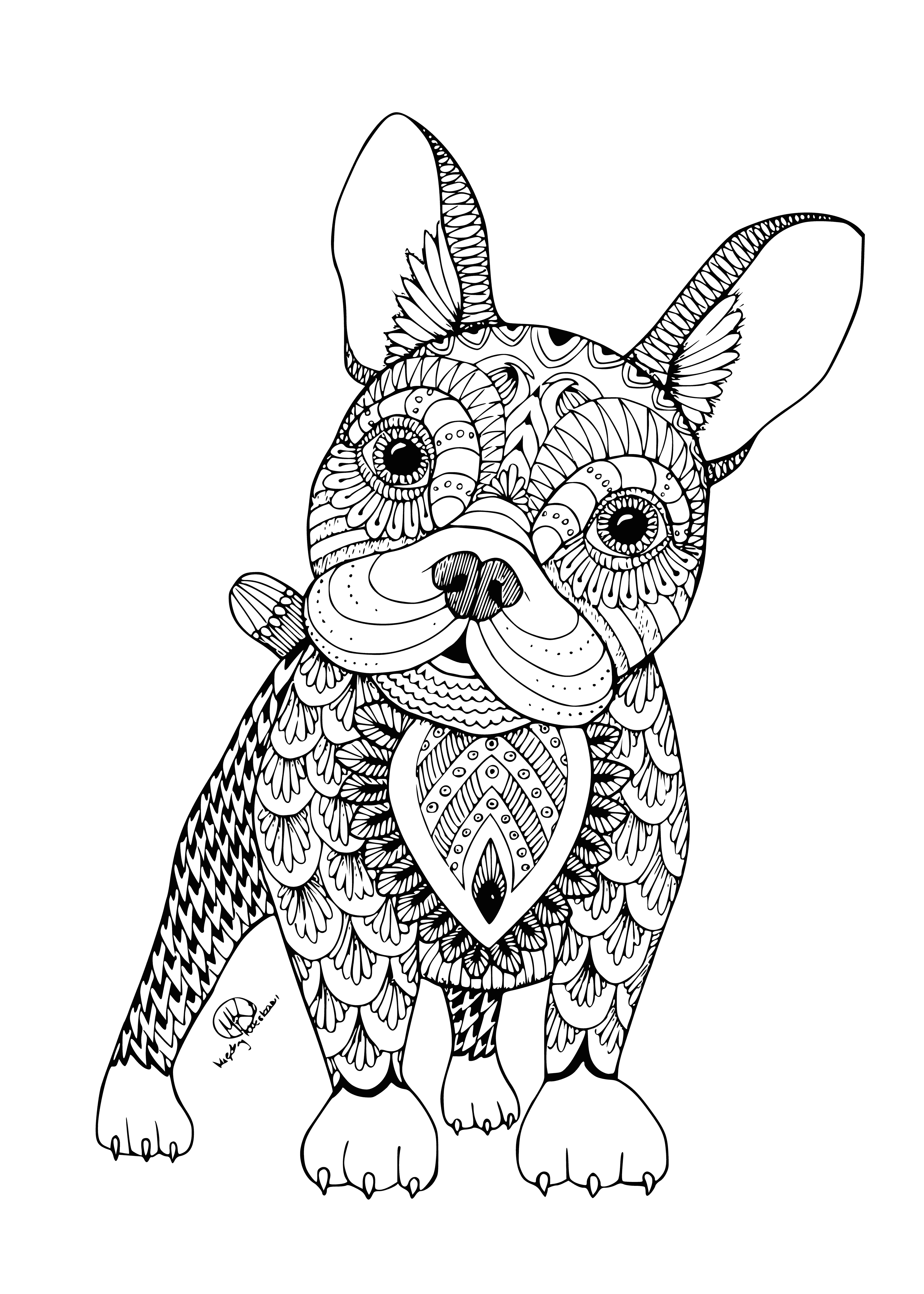 coloring page: Line art drawing of a French Bulldog, sitting with closed eyes, tongue out, large nose, floppy ears, stocky body & short tail.