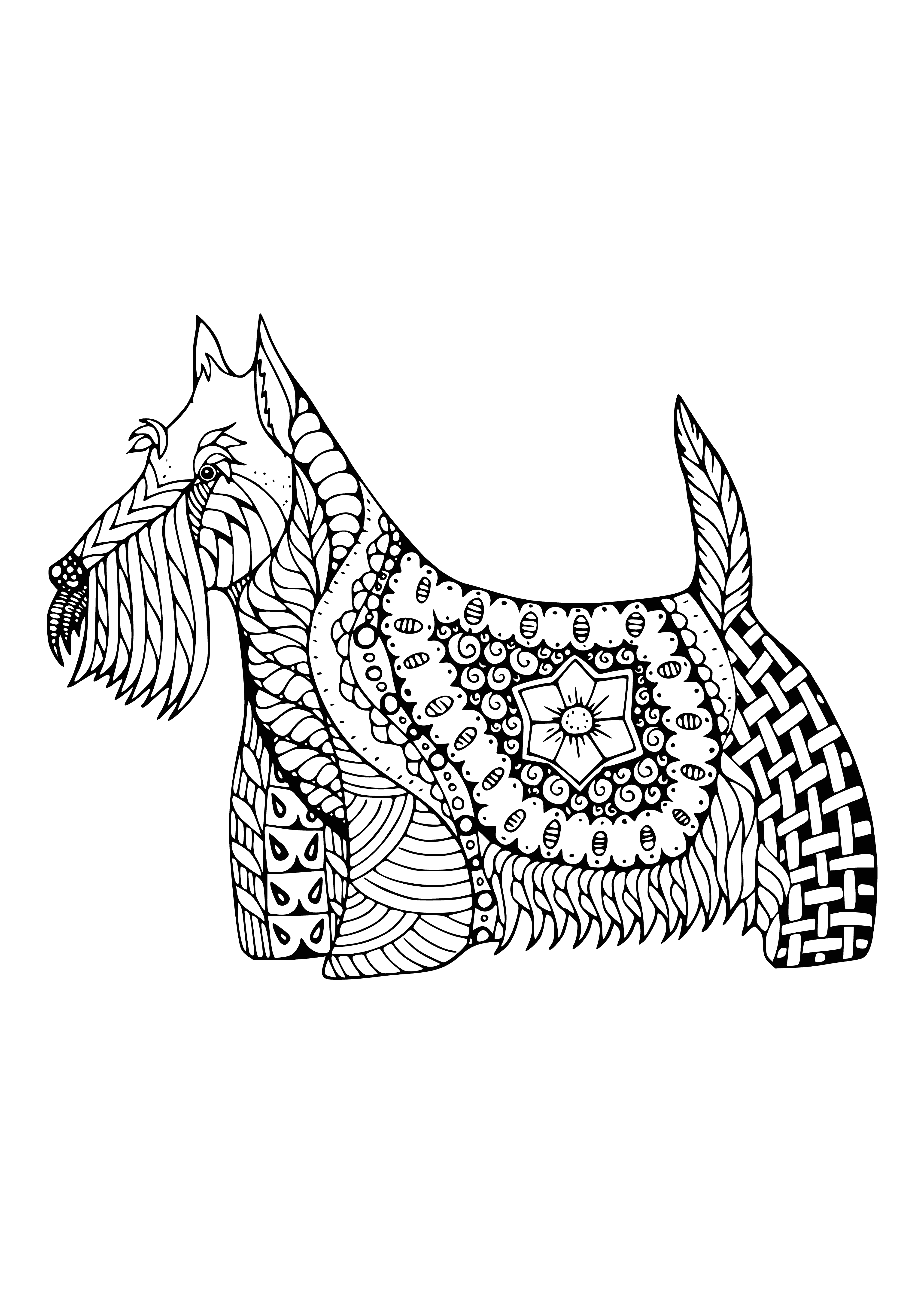 coloring page: A small black and white dog sits in front of the TV, looking at the camera with its head tilted.