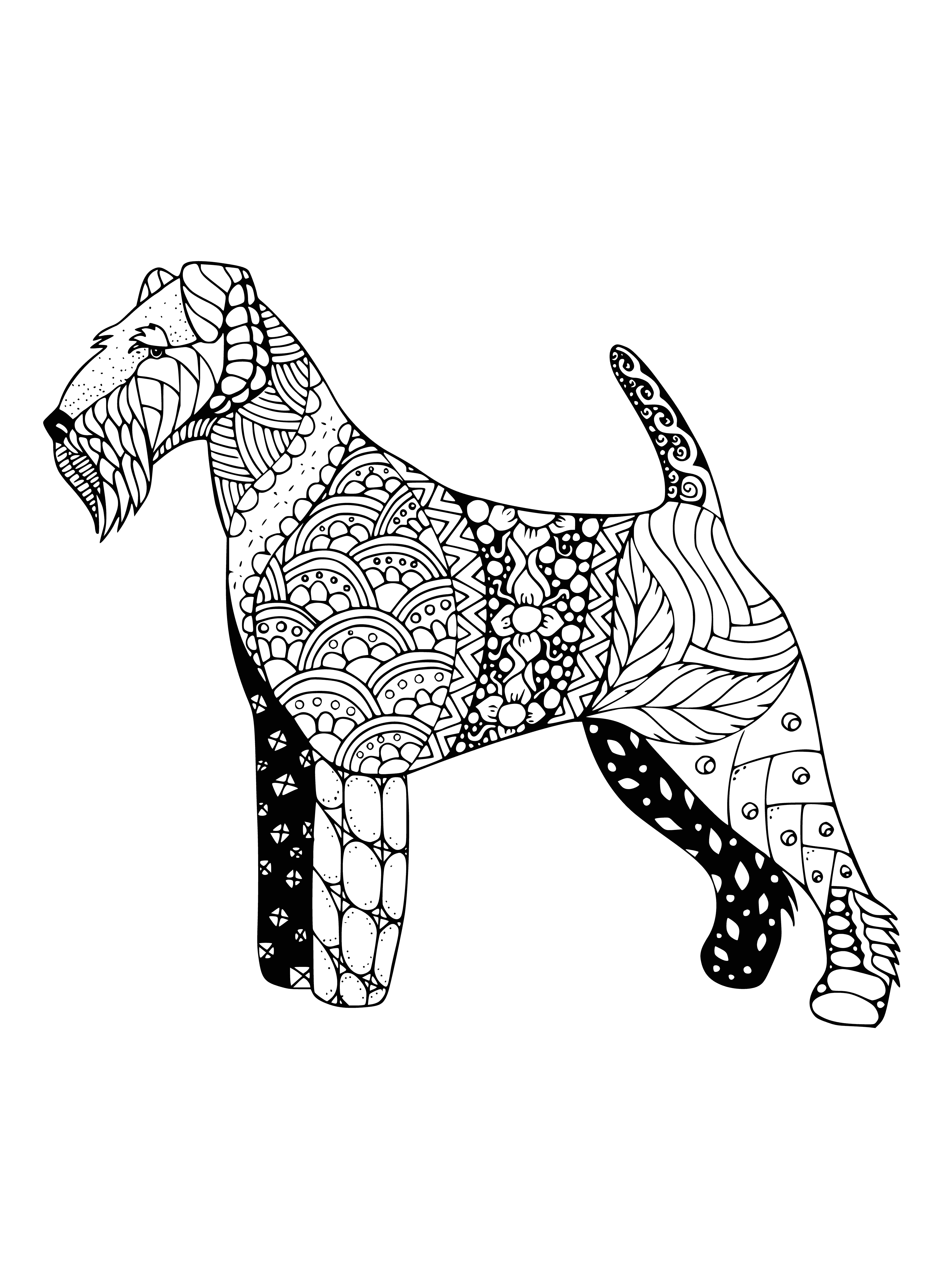 coloring page: Detail-filled line art drawing of an Erdel Terrier w/ erect ears & high tail, standing near a barbed-wire fence.