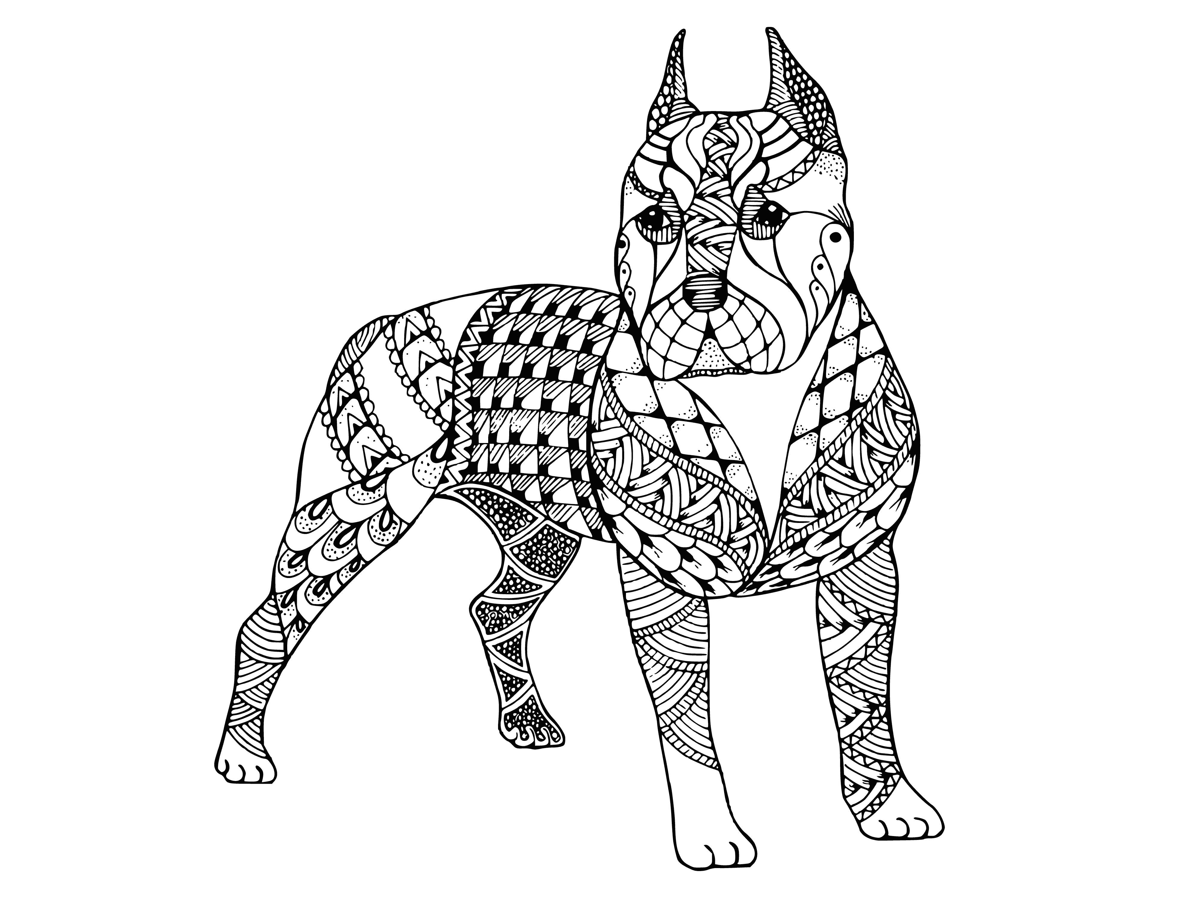 coloring page: Coloring page of Pitbull dog facing viewer with brown/white fur and collar. #coloring #dog #Pitbull