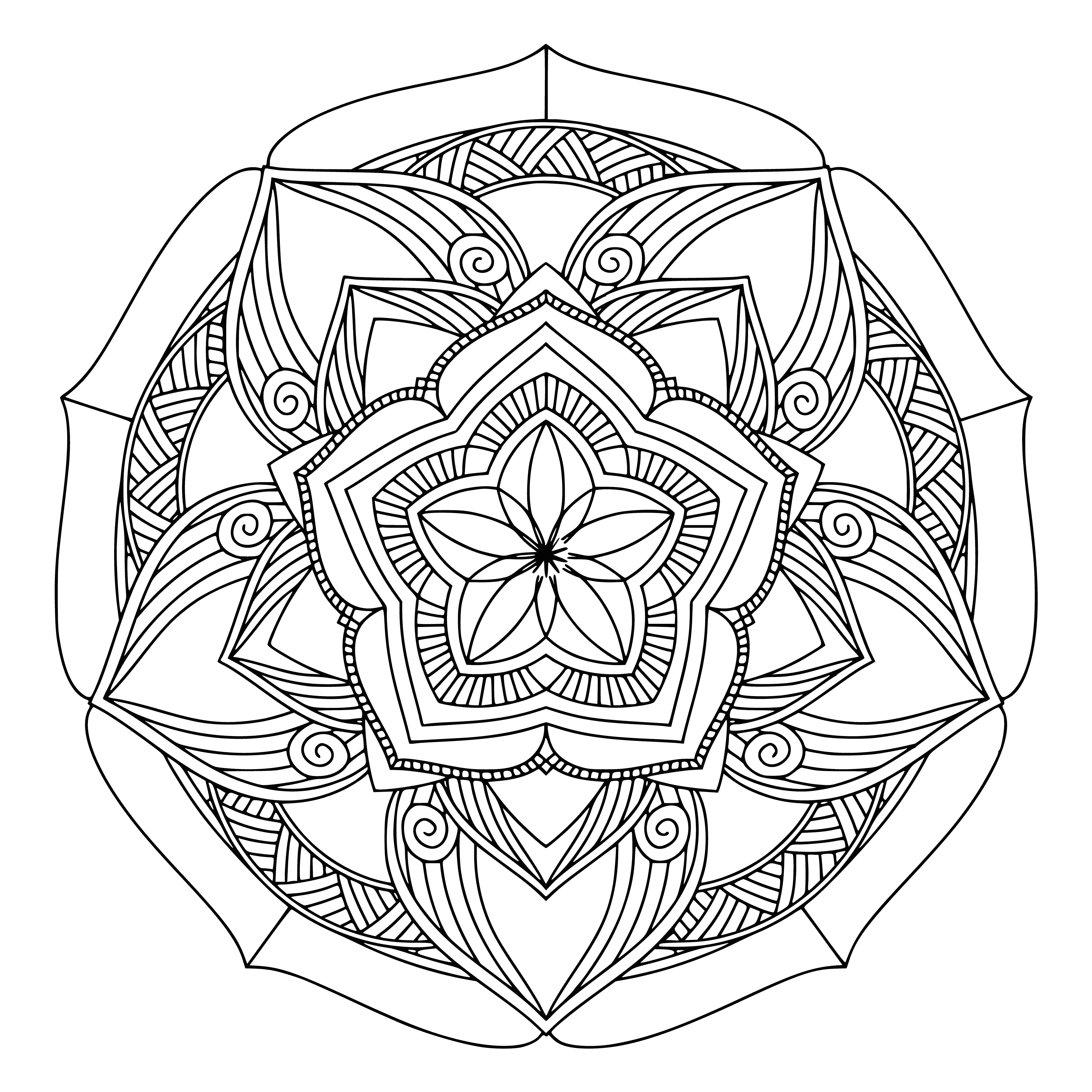 coloring page: A central flower with 8 petals of different colors, surrounded by leaves and a white background: a perfect fit of different shapes. #beauty