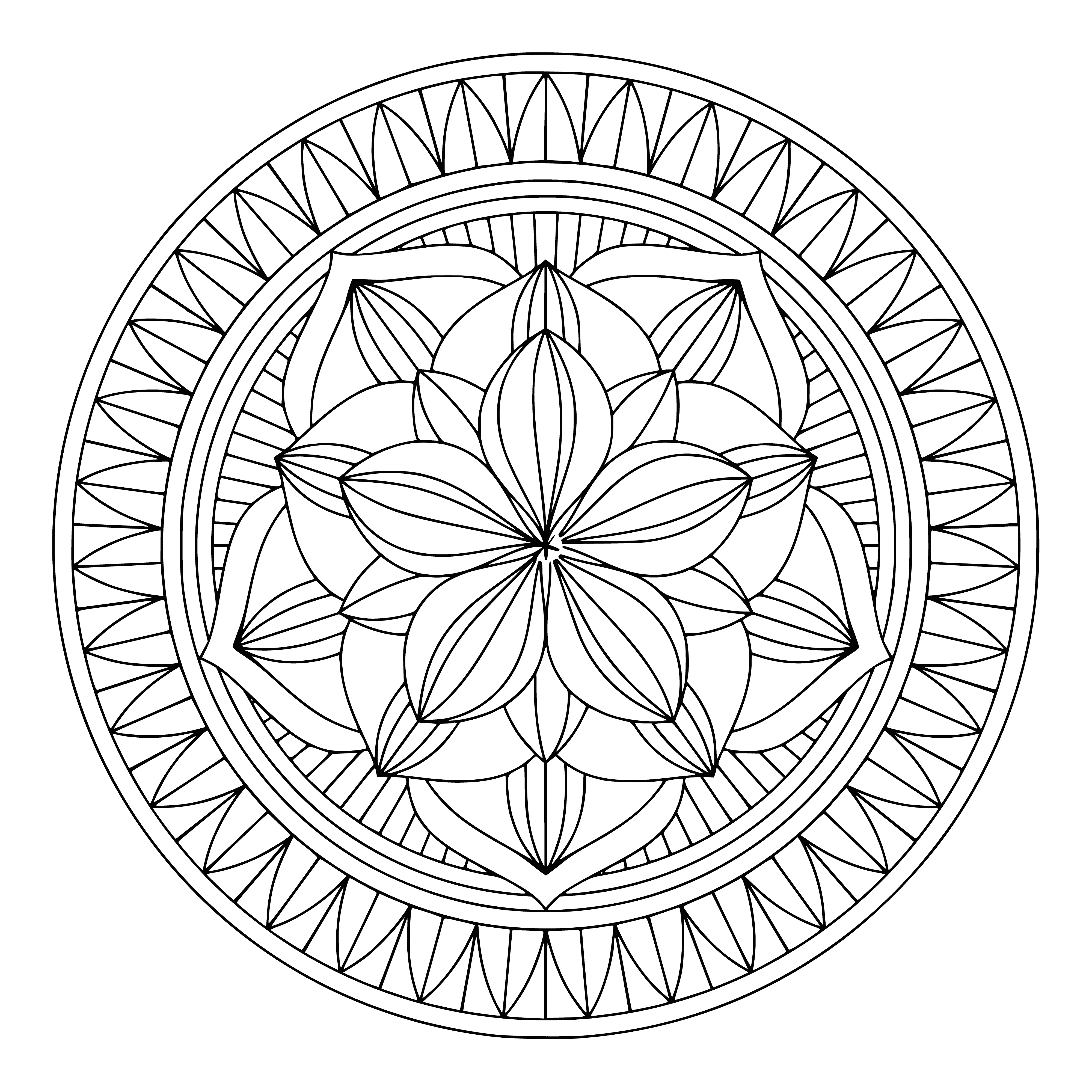 coloring page: A colorful flower mandala design orbits around a center point; intricate and fun to color! #art #design