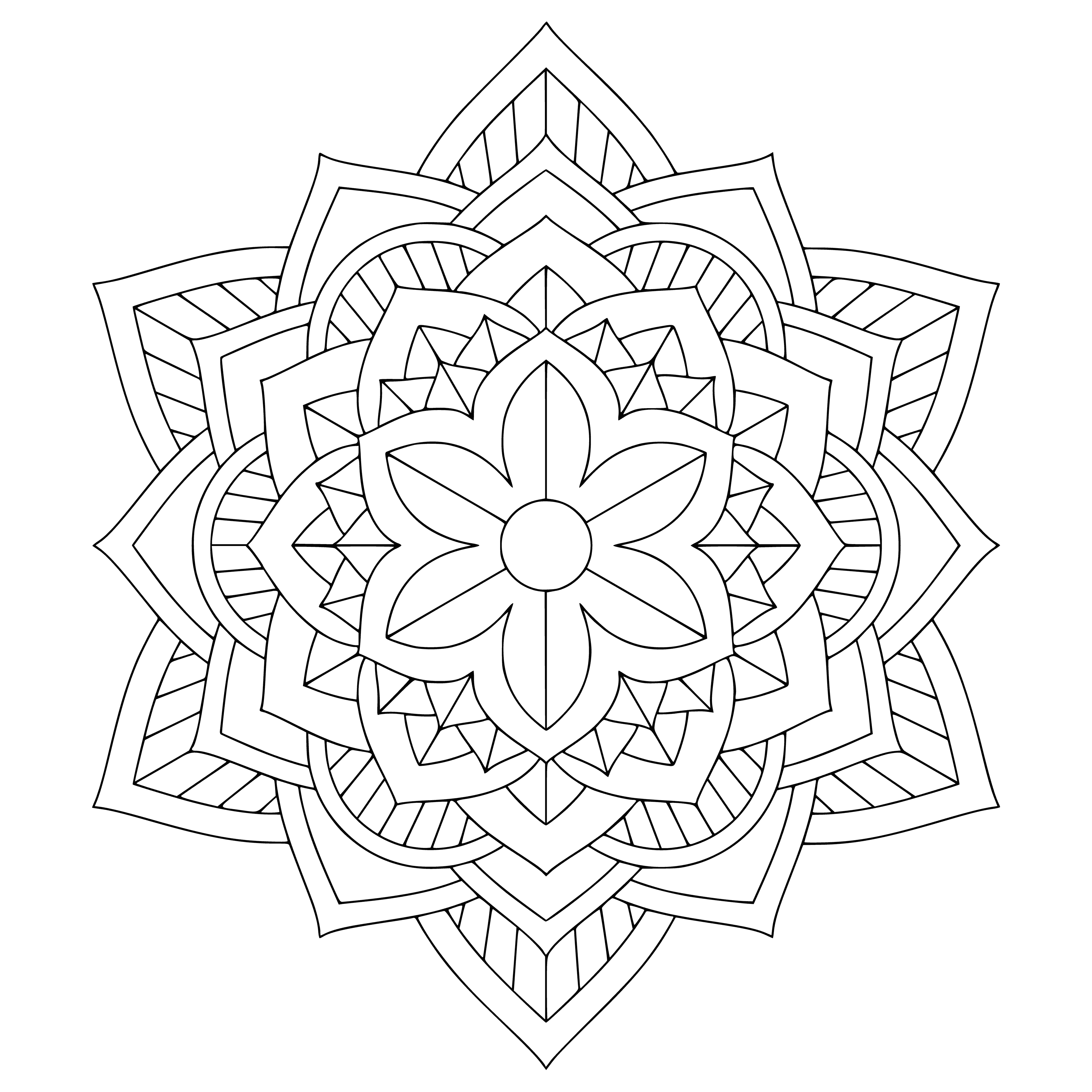 coloring page: Mandala coloring page with beautiful flower design & detailed floral border - perfect for flower lovers & adding beauty to your pages.