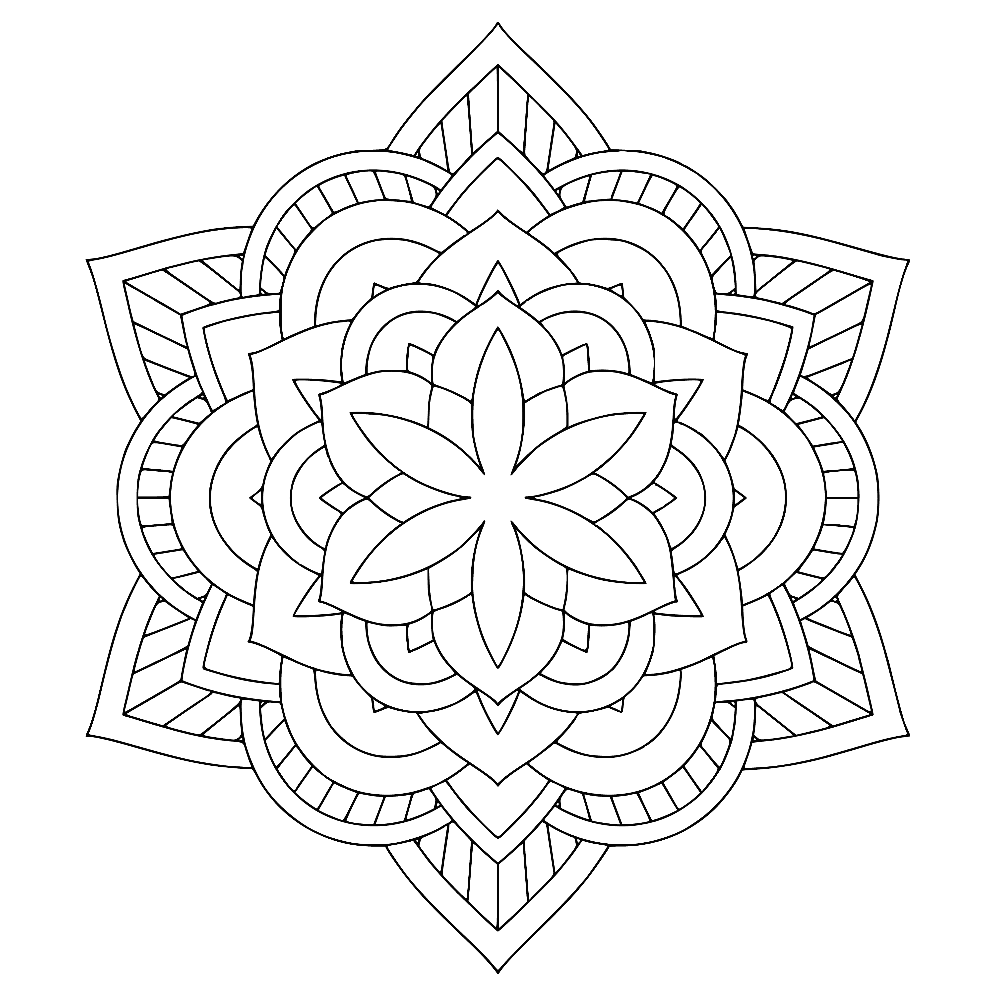 coloring page: Beautiful flower mandala made of roses, daisies, tulips and more in different colors, creating a symmetrical coloring page.