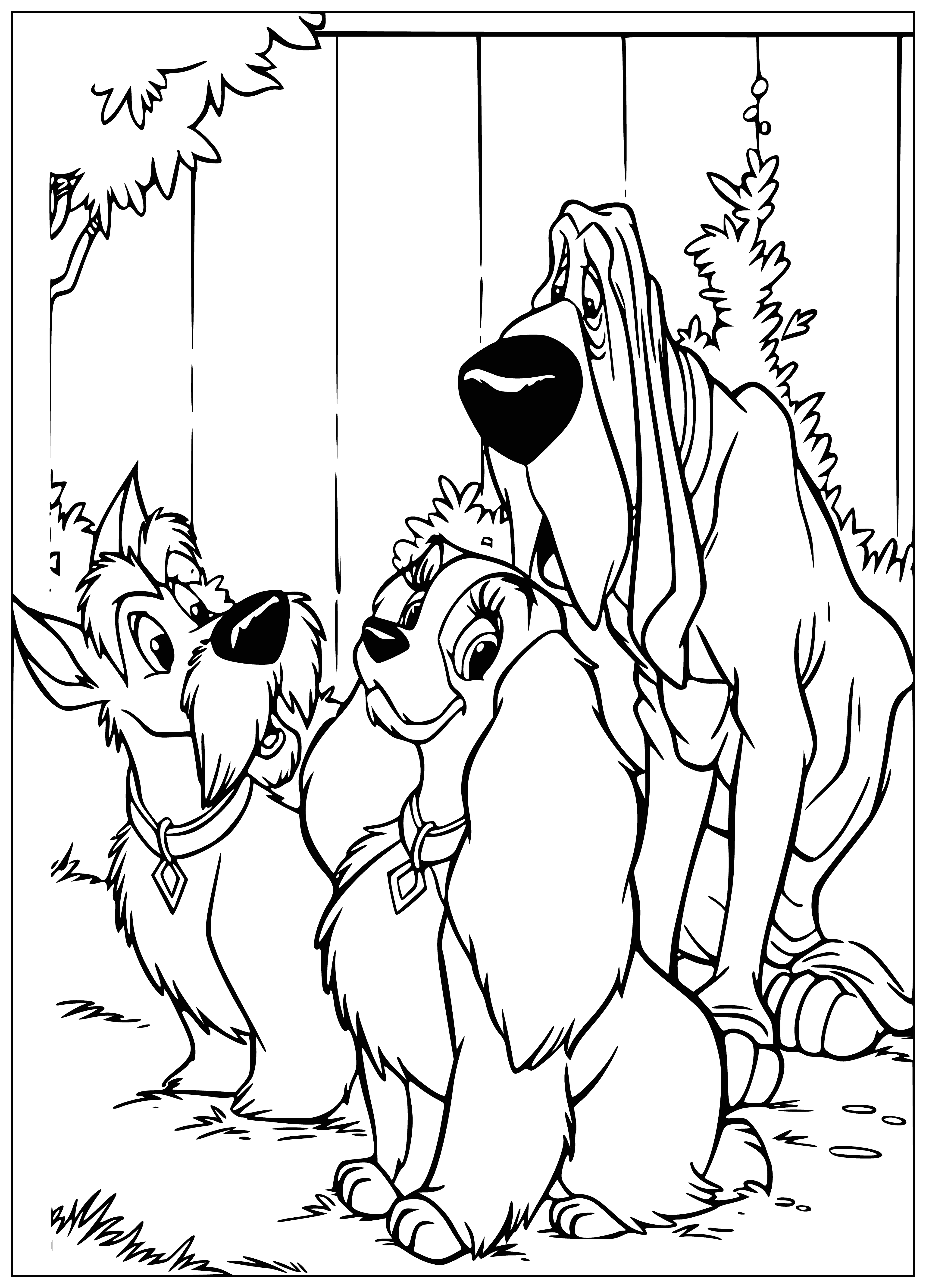 coloring page: Lady embarrassed. Tramp, devilish grin. He caused trouble.