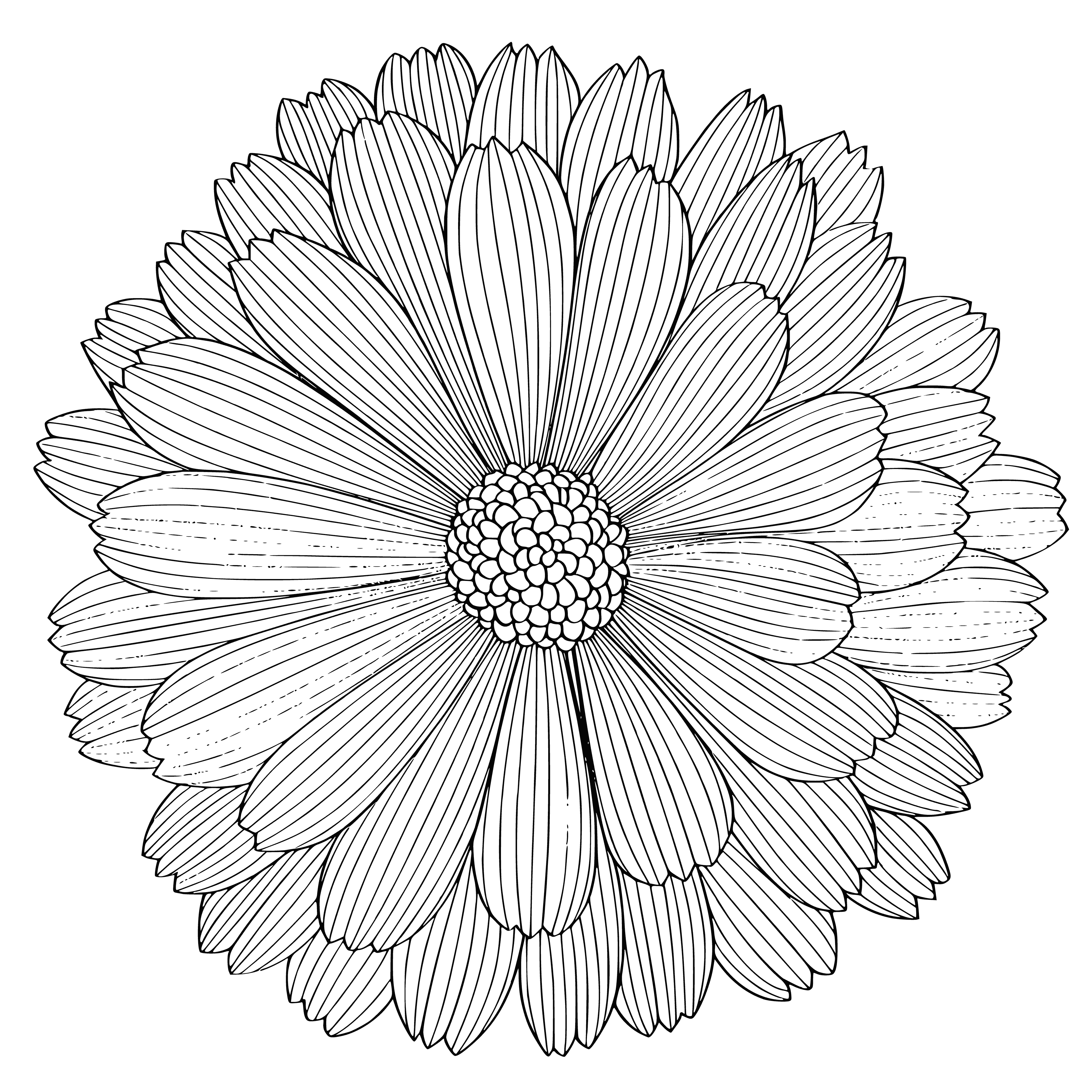 coloring page: Colorful flowers of various shapes and sizes, surrounded by leaves and some with stems, range in color from white to yellow to pink to purple with unique patterns. #ColoringPage