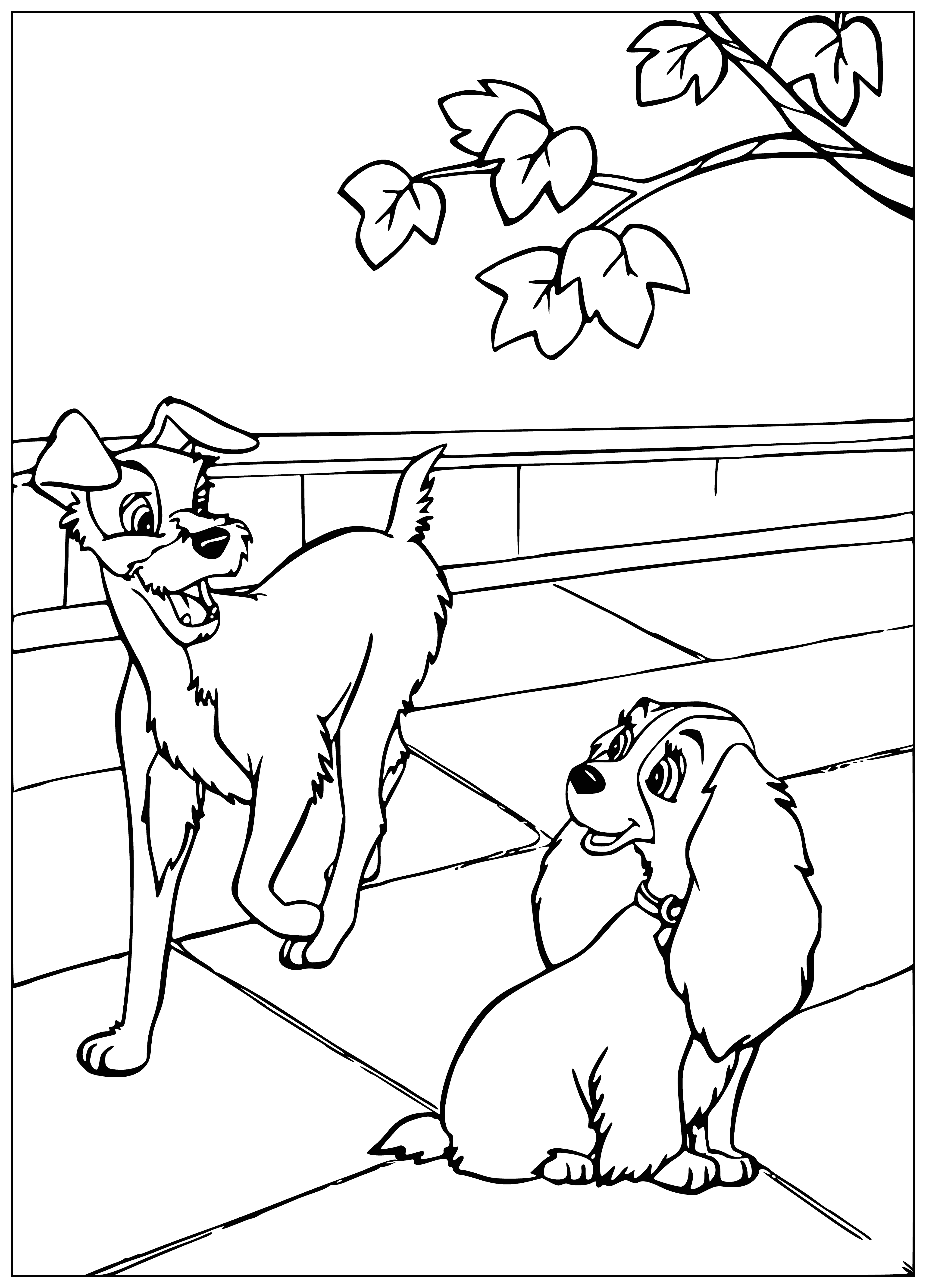 coloring page: --> Lady, a spoiled purebred cocker spaniel, is wary of others until she meets Tramp, a fun-loving mutt living on the street.